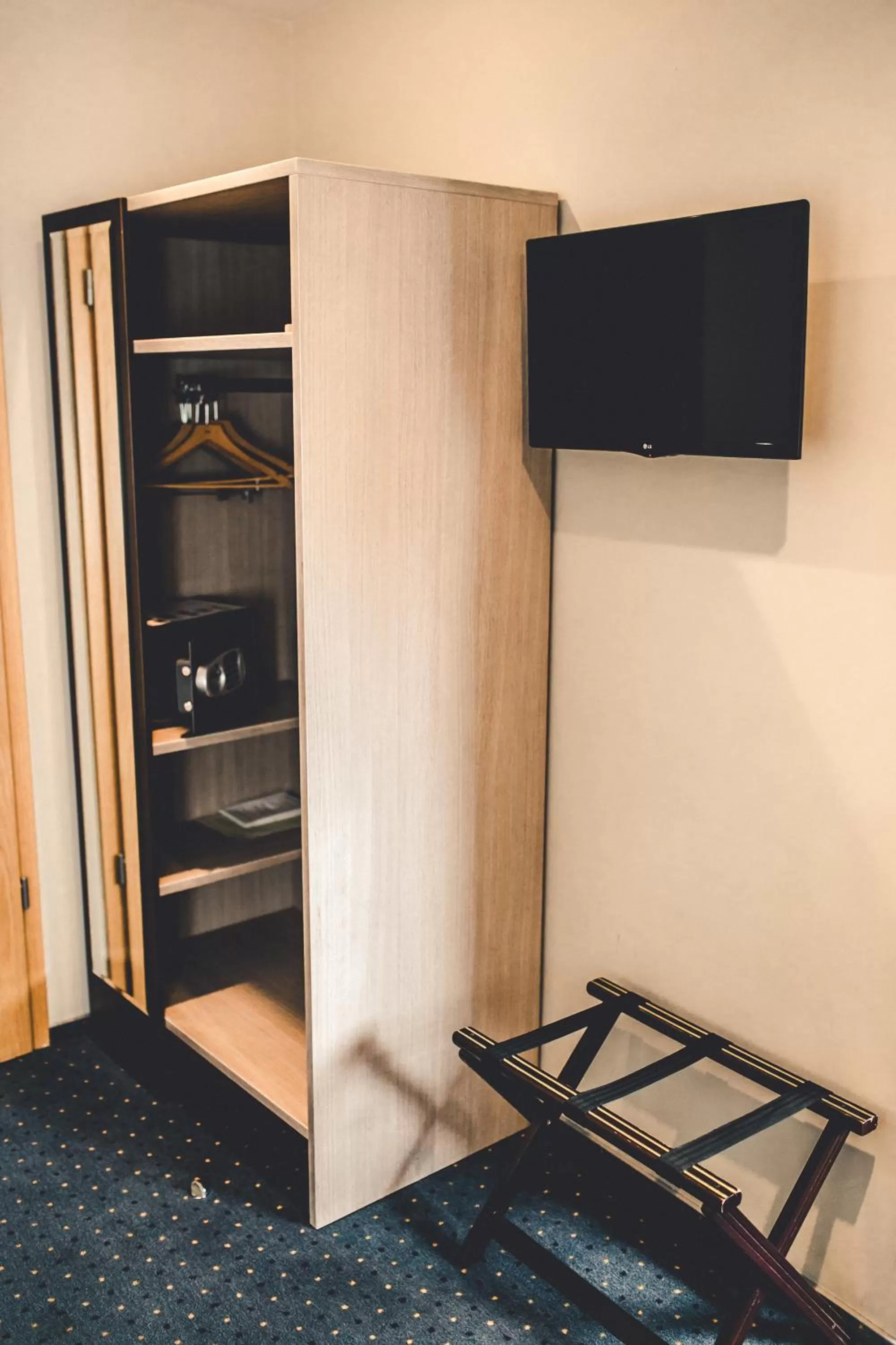 TV and multimedia in Hanza Hotel