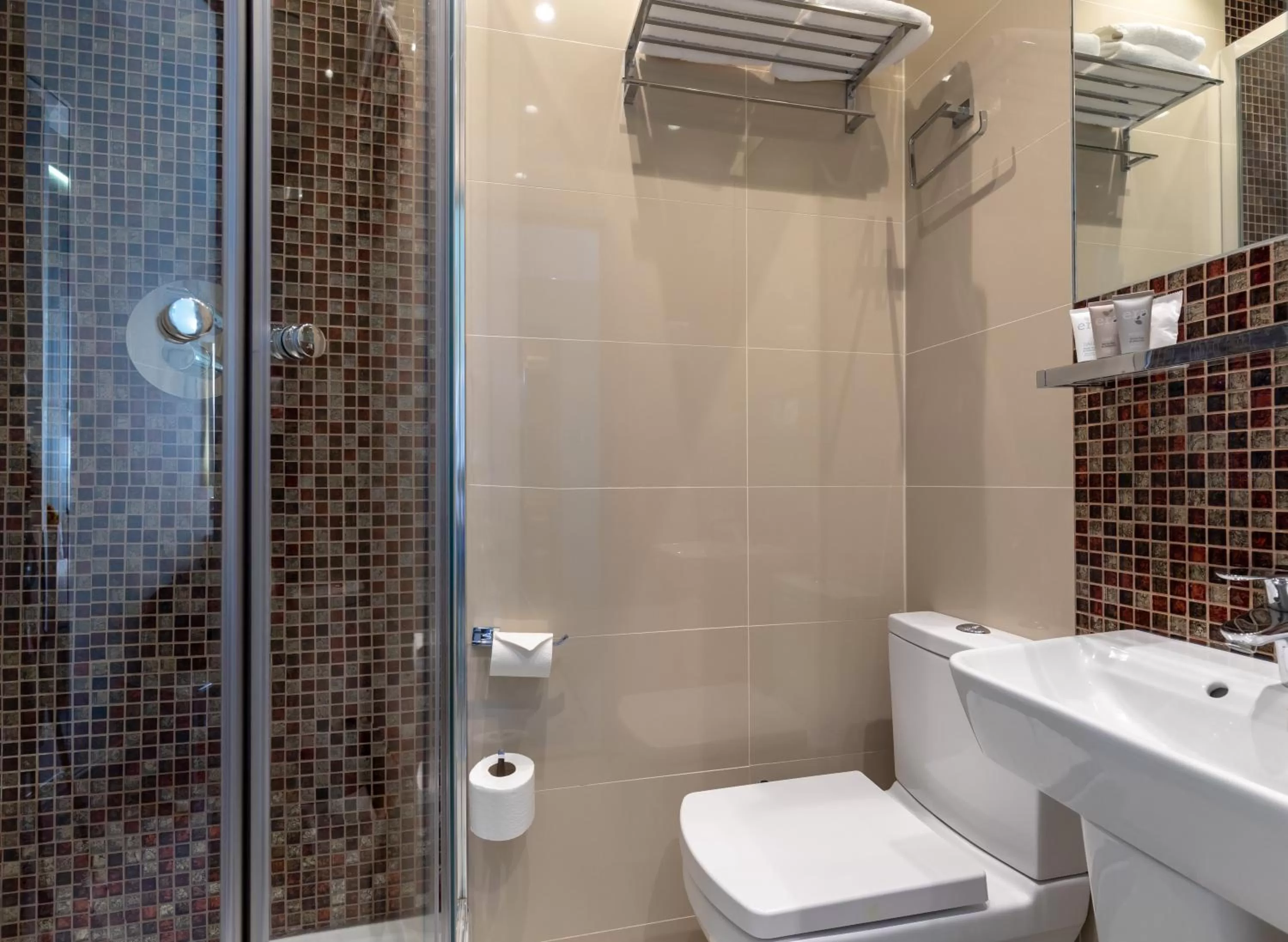 Shower in Sidney Hotel London-Victoria