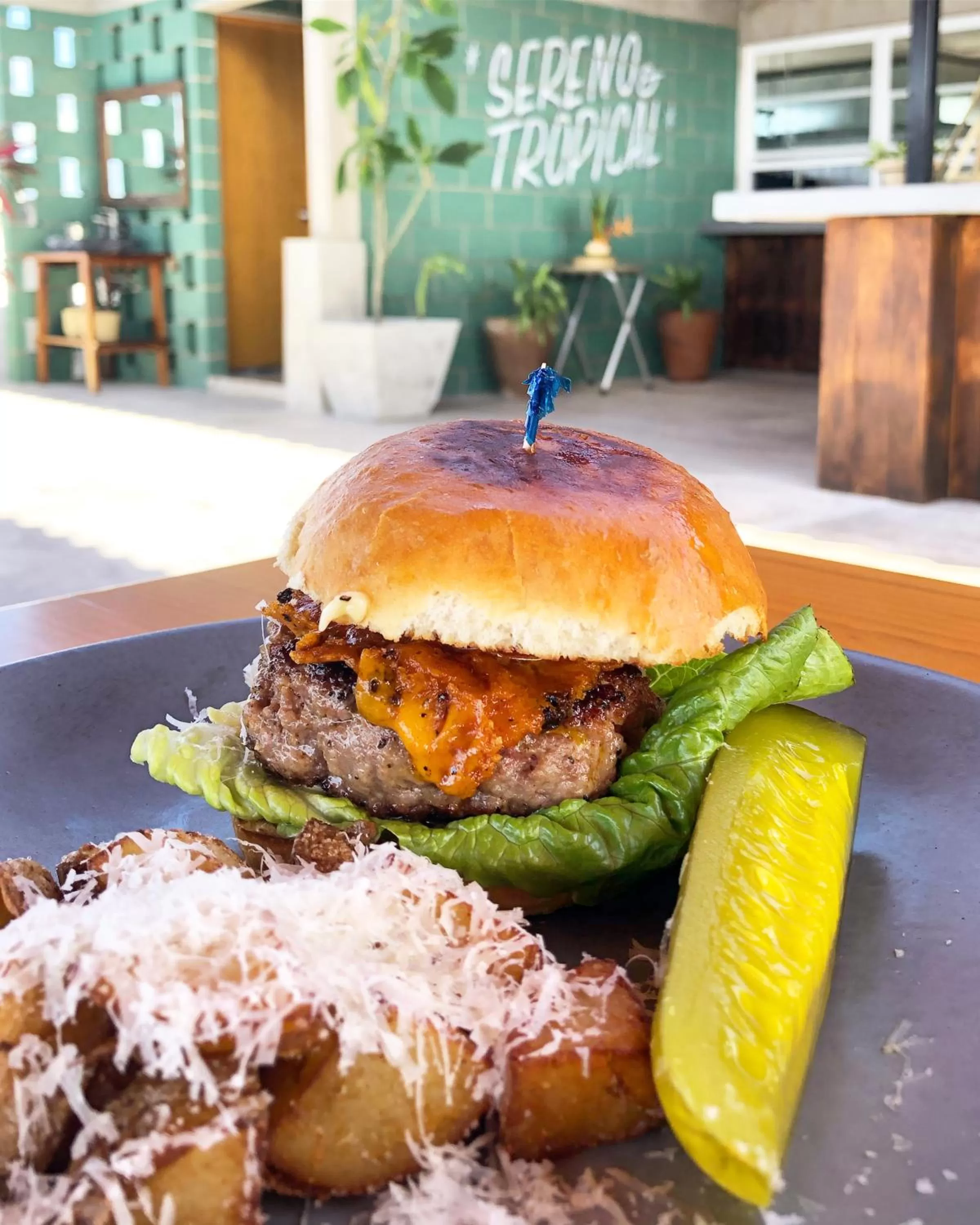 Restaurant/places to eat in Albatros by Bedsfriends