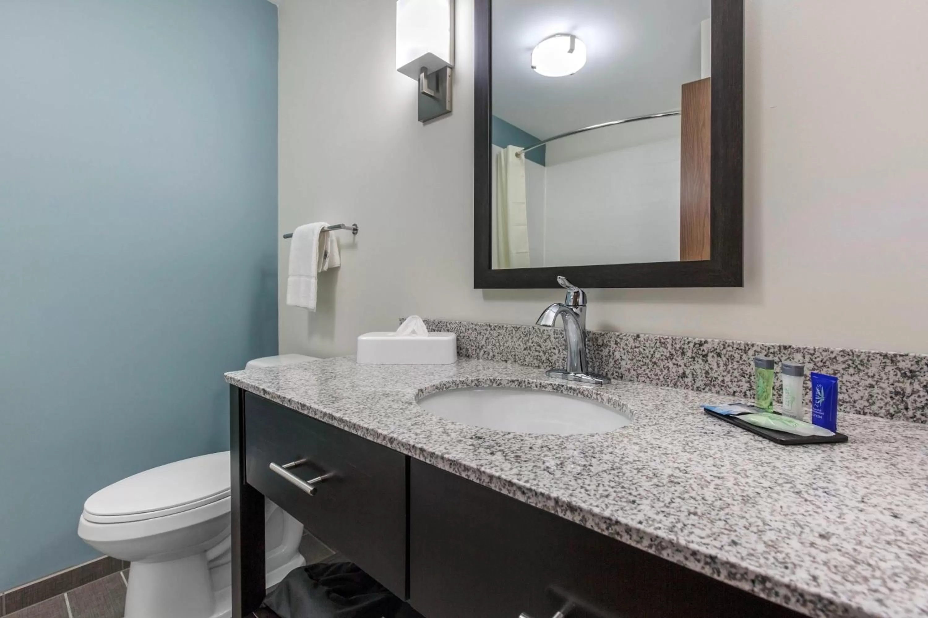 Bathroom in Sleep Inn & Suites South Jacksonville