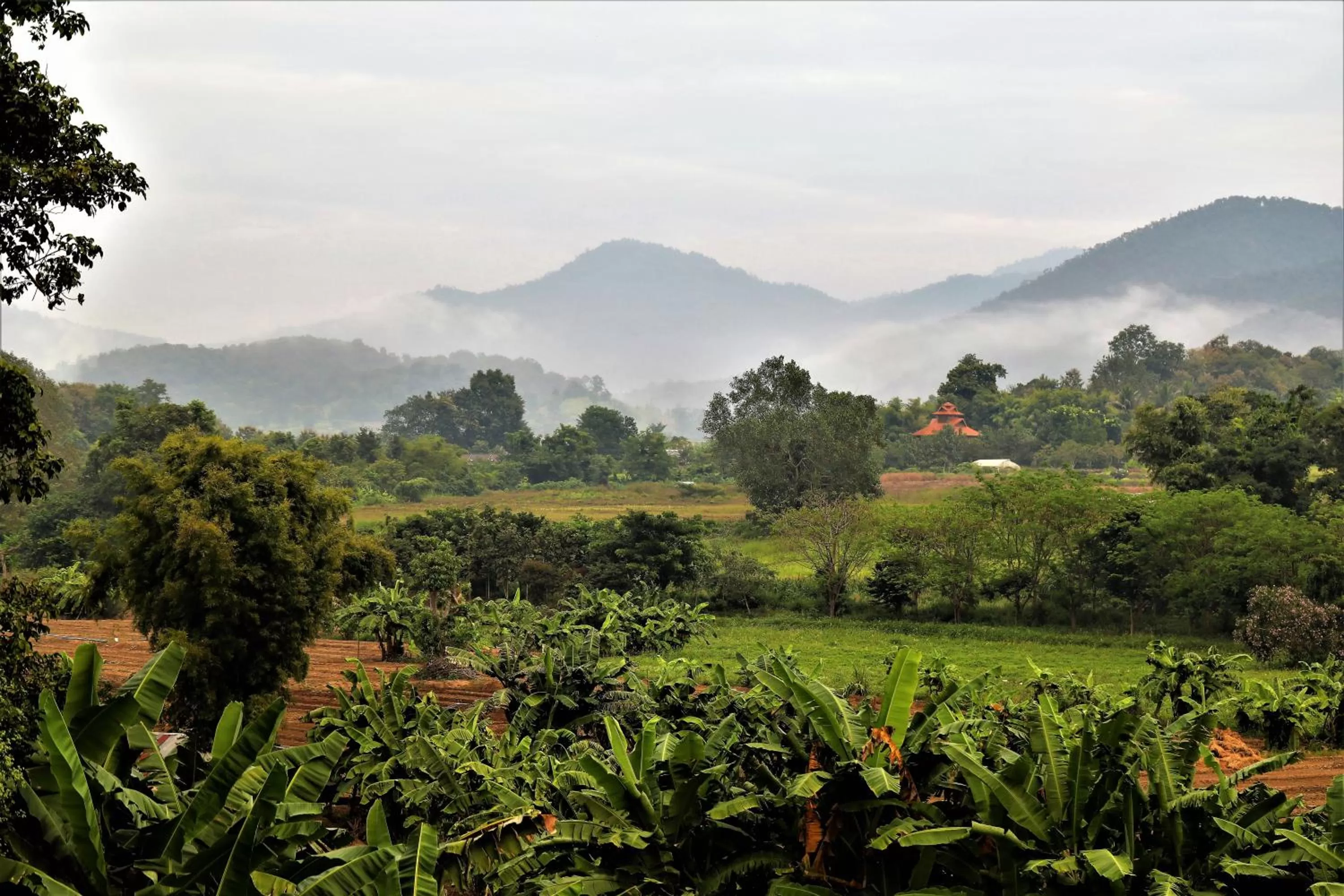 View (from property/room) in Yoma Hotel, Pai