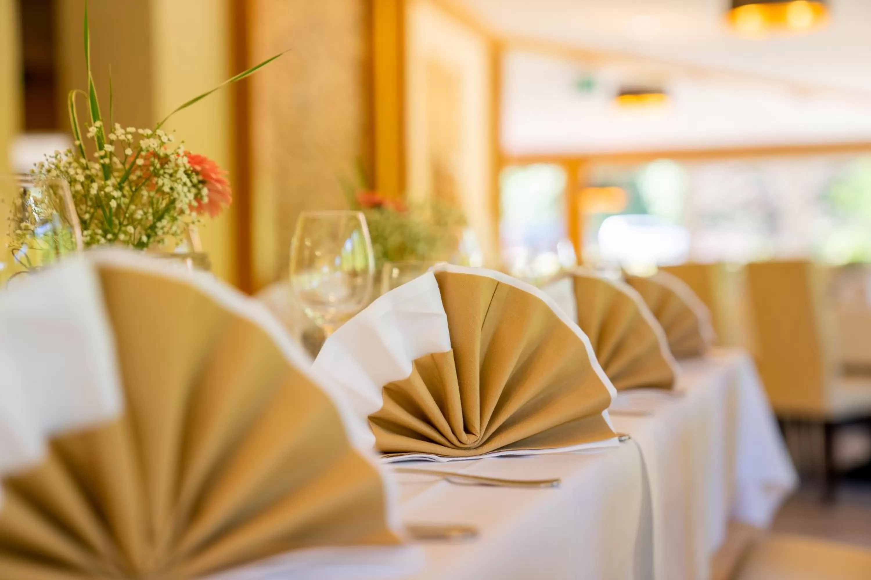 Restaurant/places to eat in Waldhotel Vogtland