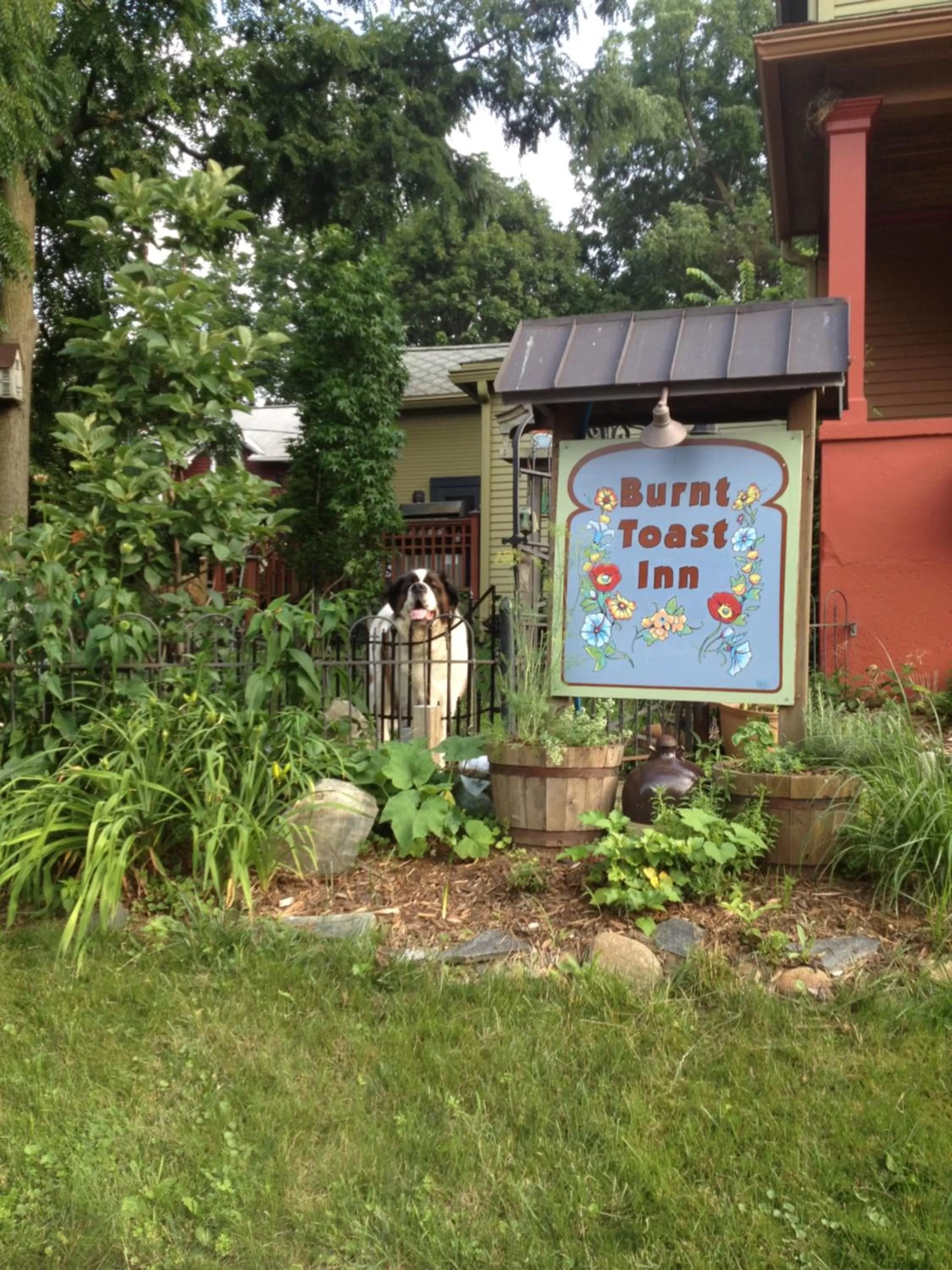 Garden, Property Building in Burnt Toast Inn