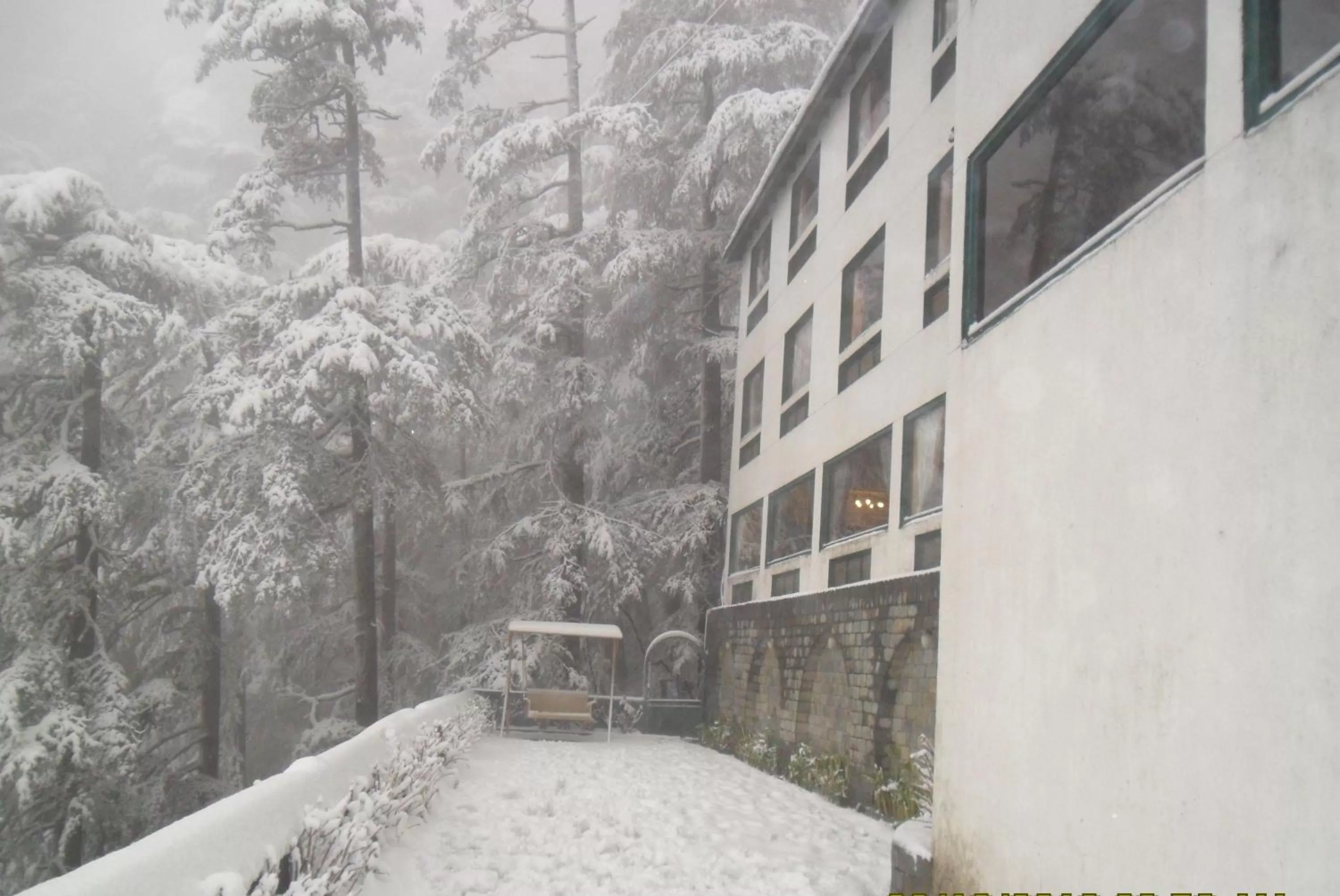 Natural landscape in Honeymoon Inn Shimla