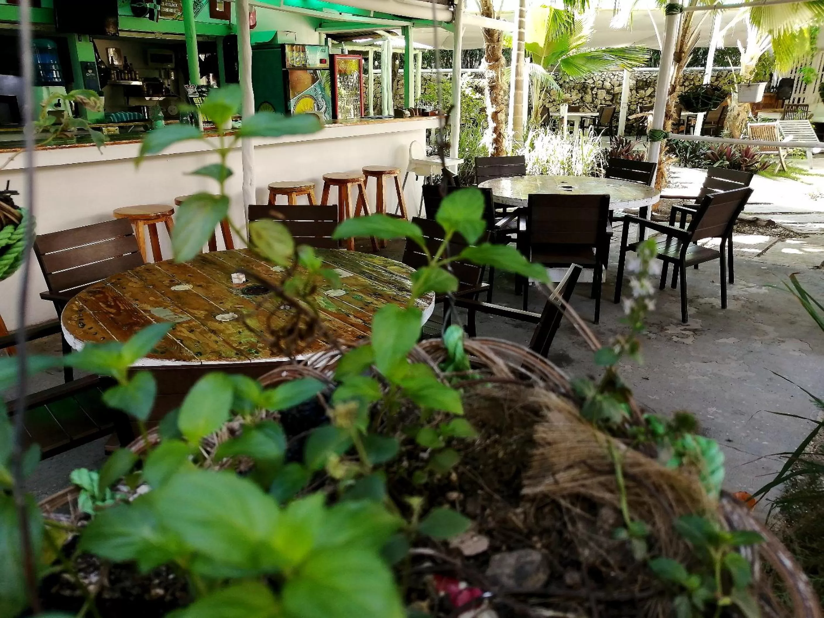 Riviera Punta Cana Eco Travelers