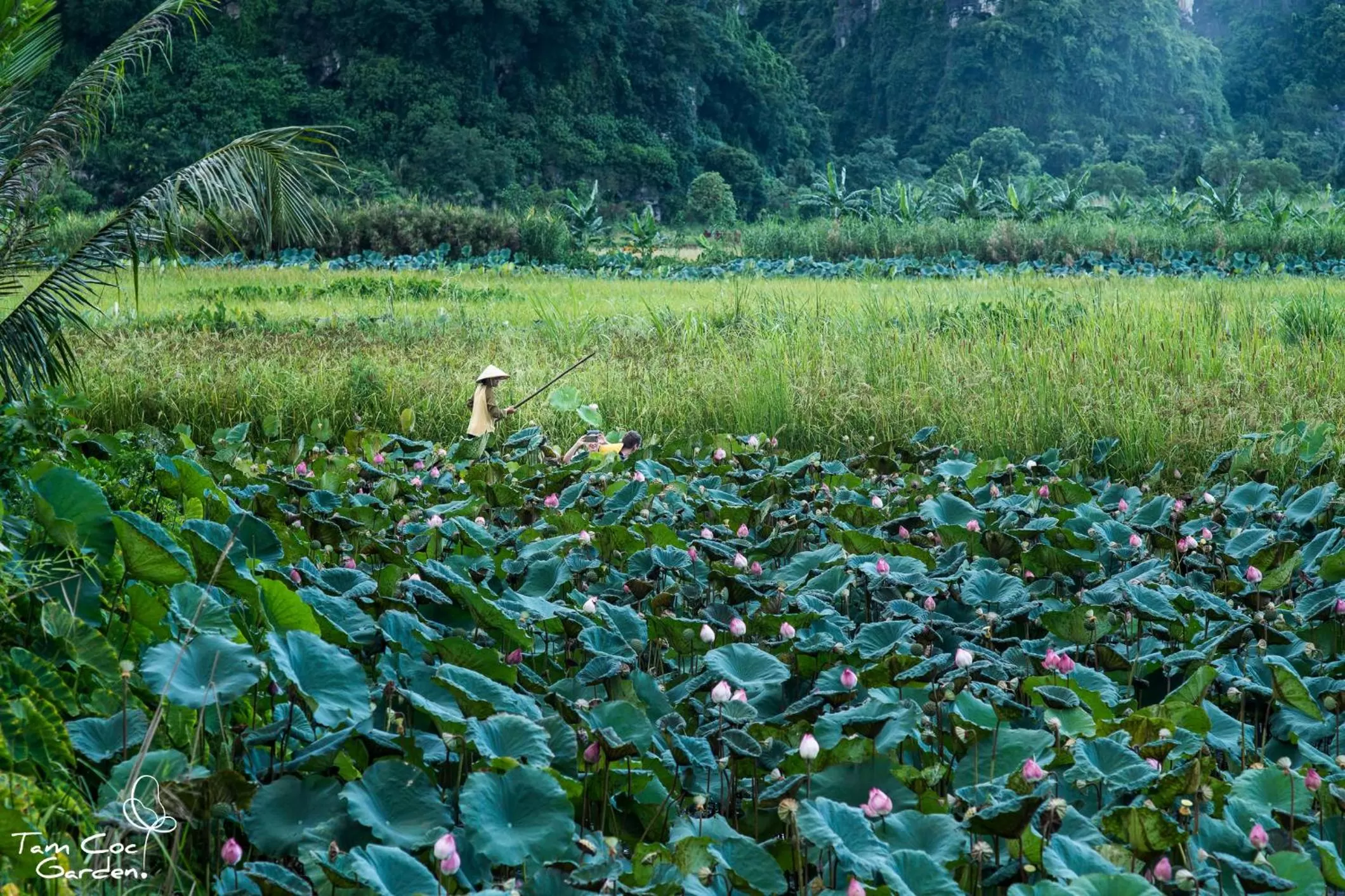 Neighbourhood in Tam Coc Garden Resort