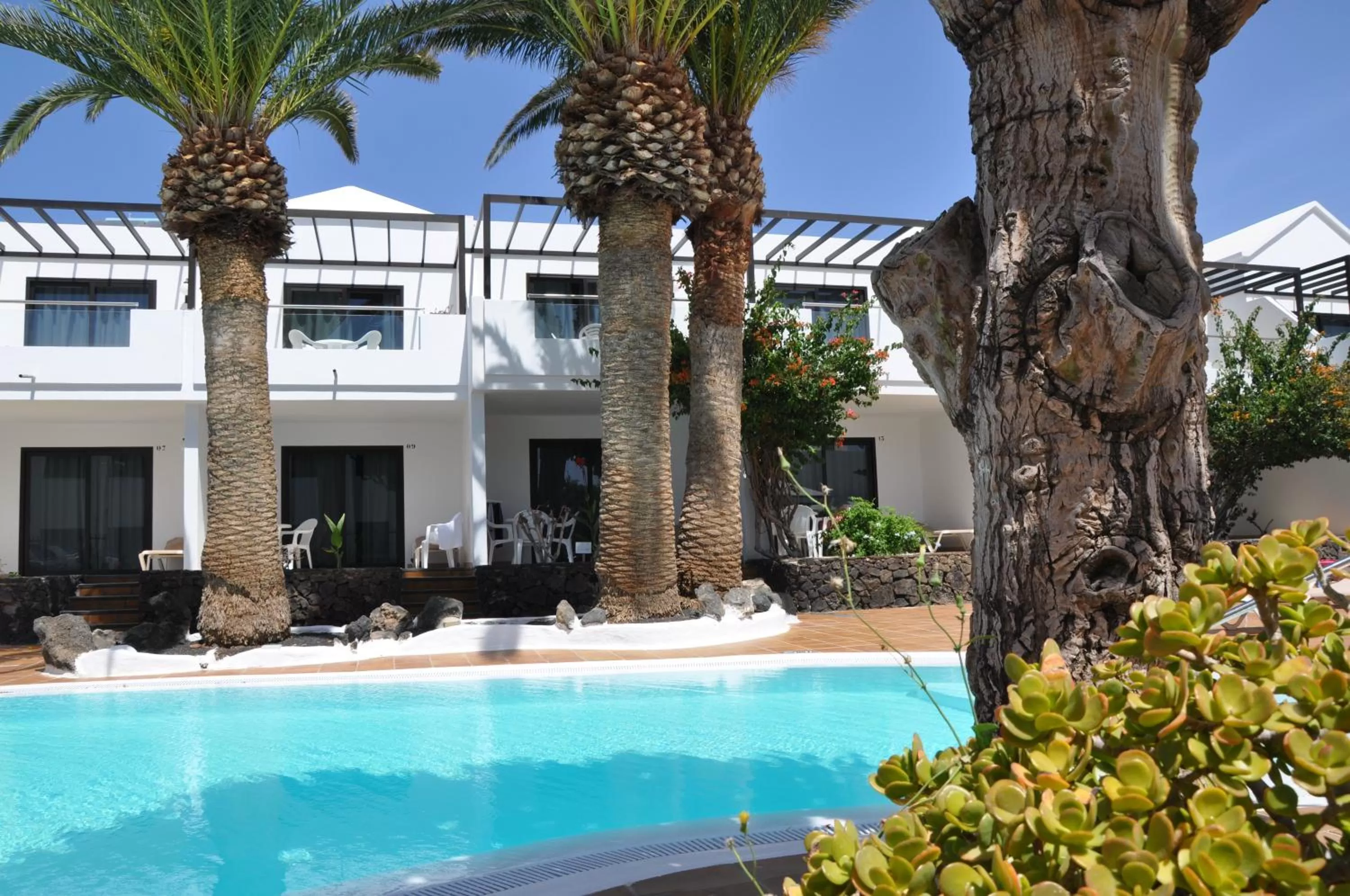 Swimming pool in Los Tulipanes