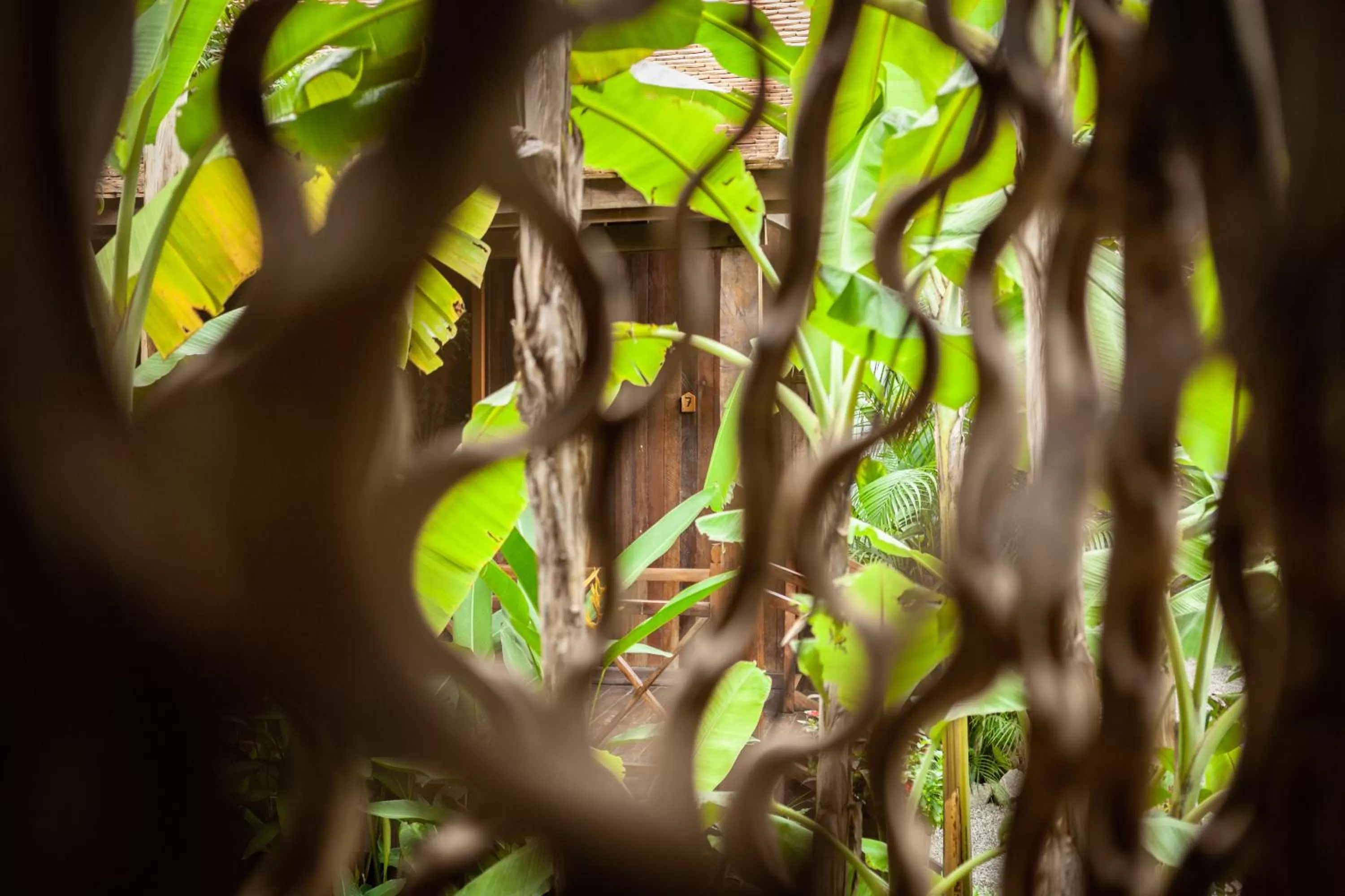 Property building in Authentic Khmer Village Resort