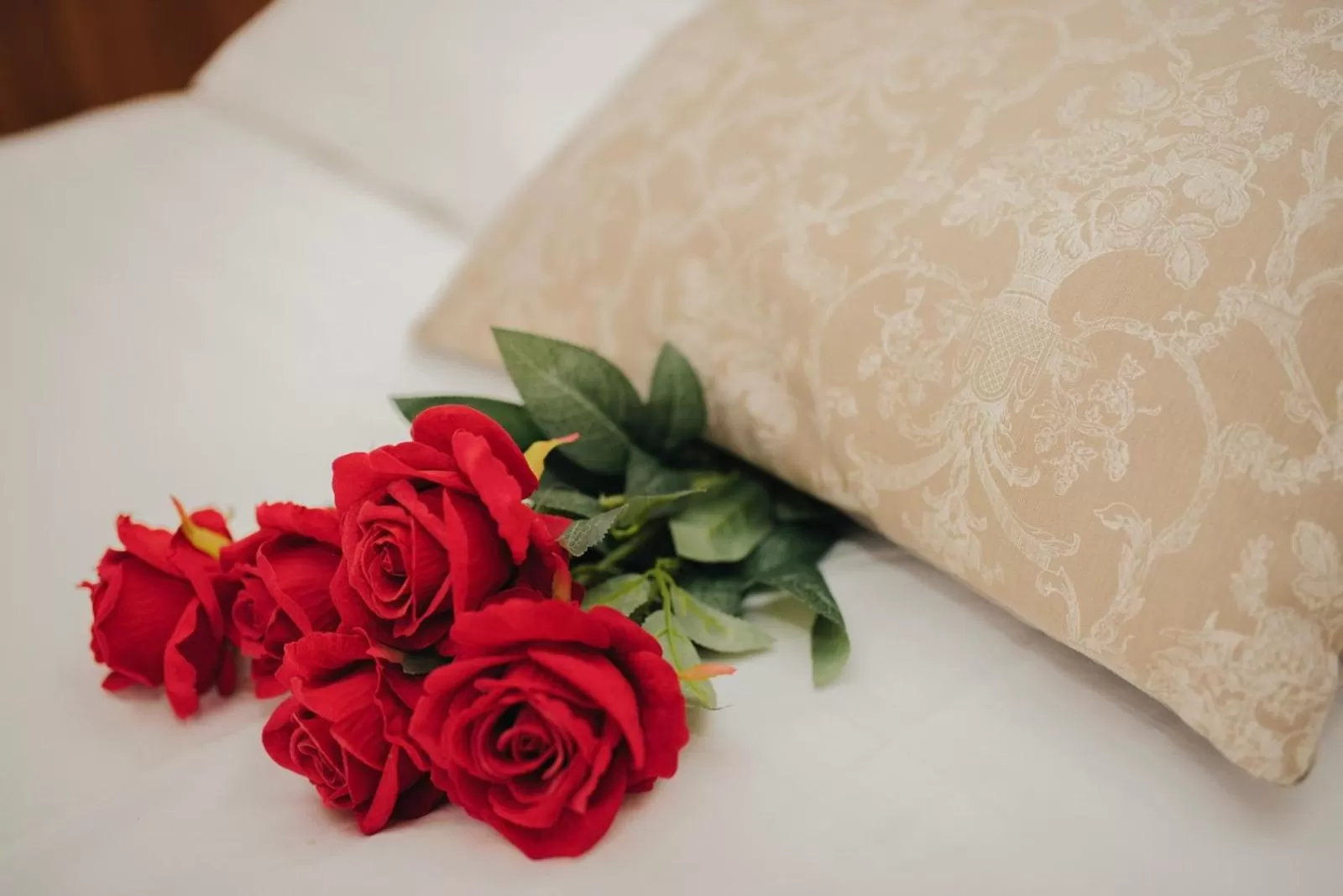 Bed in Hotel - Villa Lejla