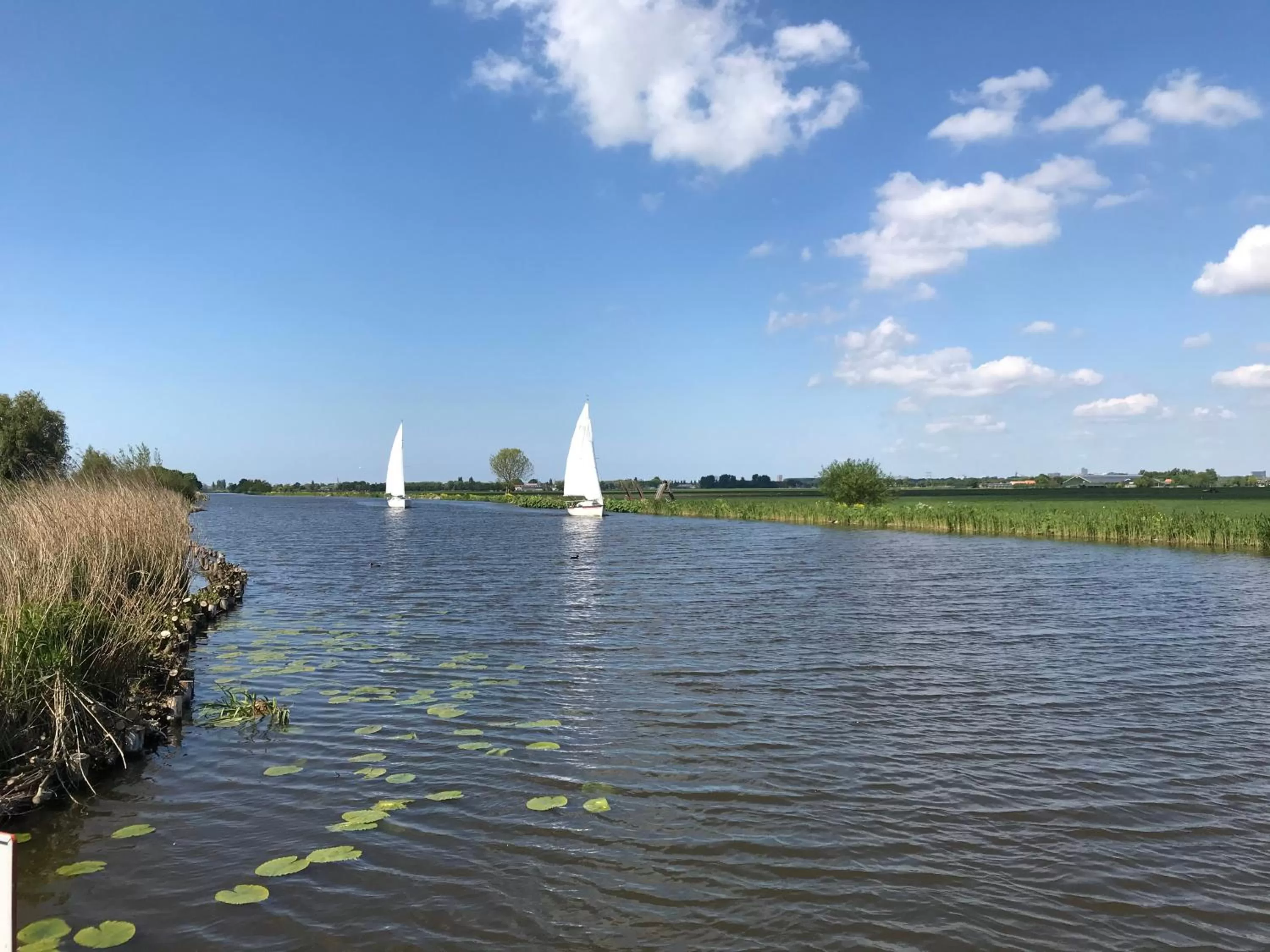 Natural landscape in Bed&Breakfast Maasland