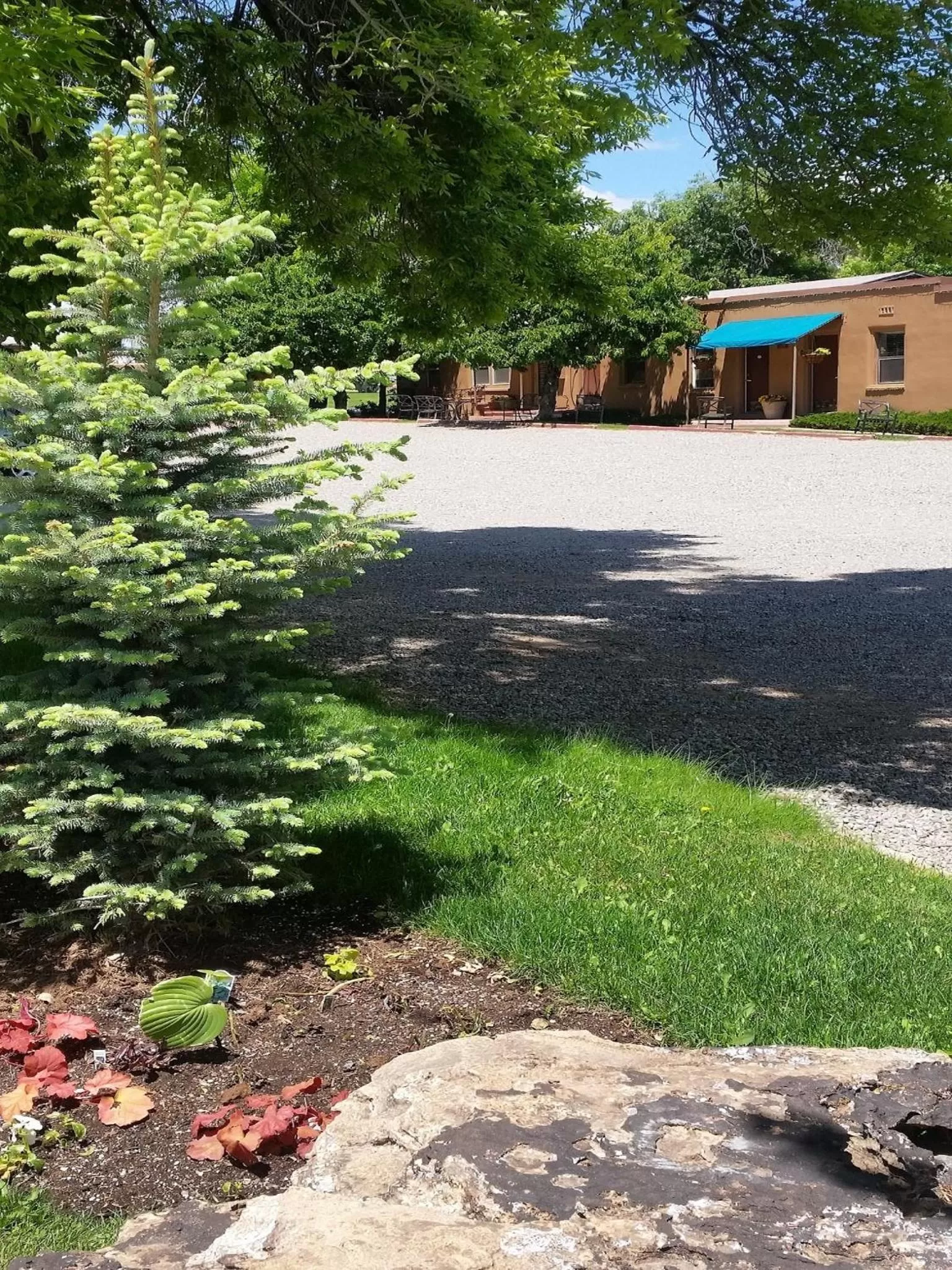 Day in Stone Lizard Lodge