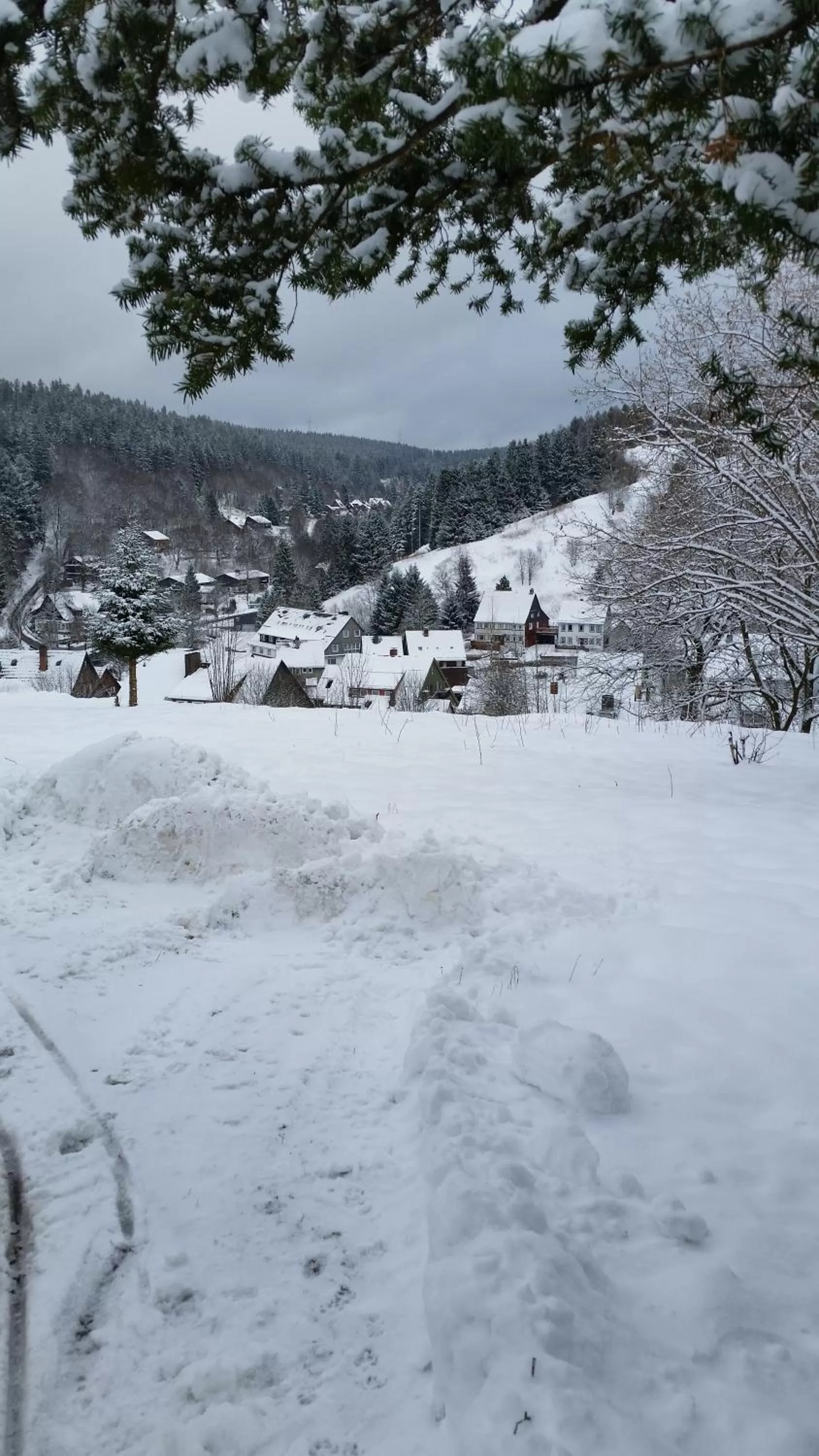 Natural landscape in Pension Haus Petra