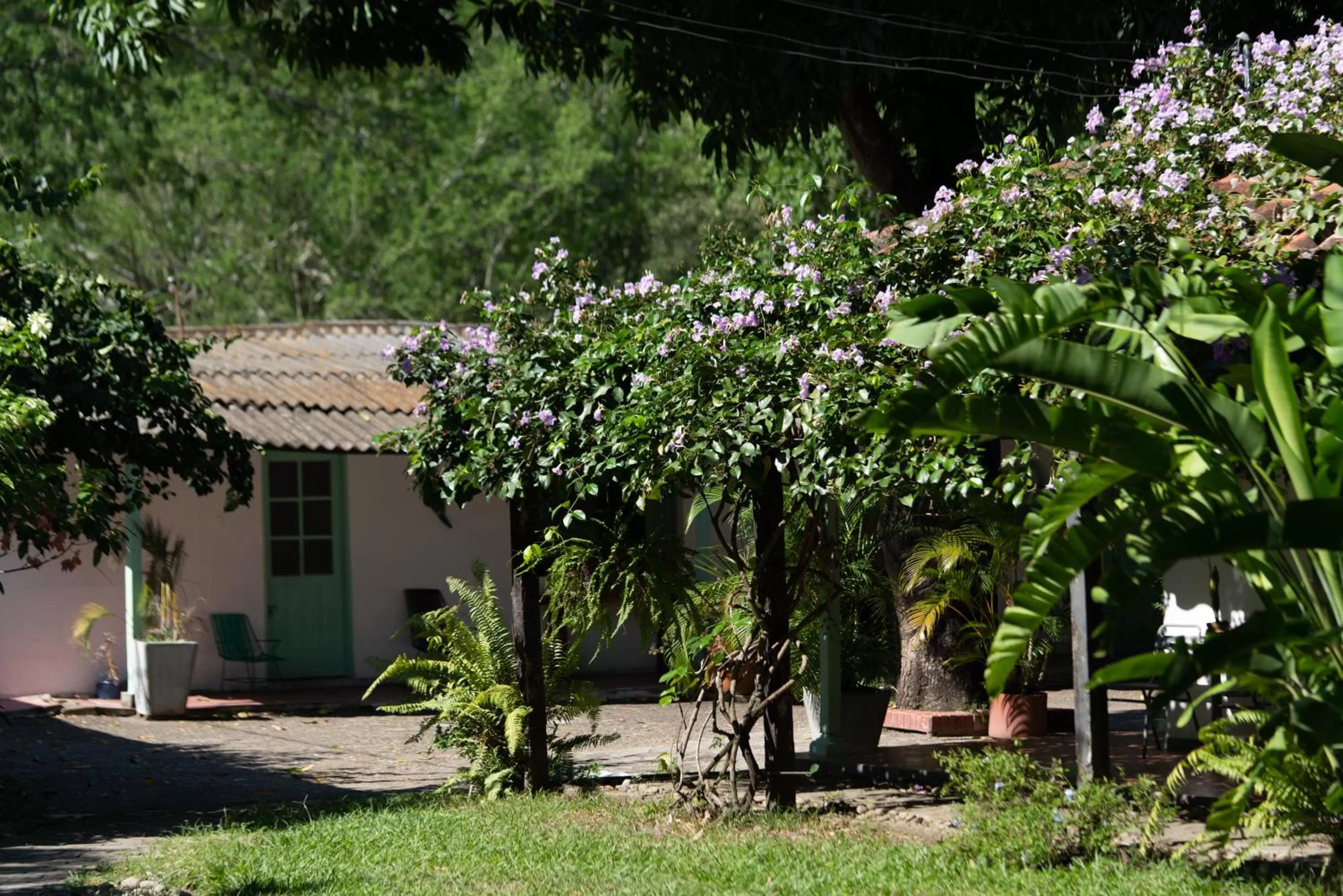 Garden in Waka Hotel Rural