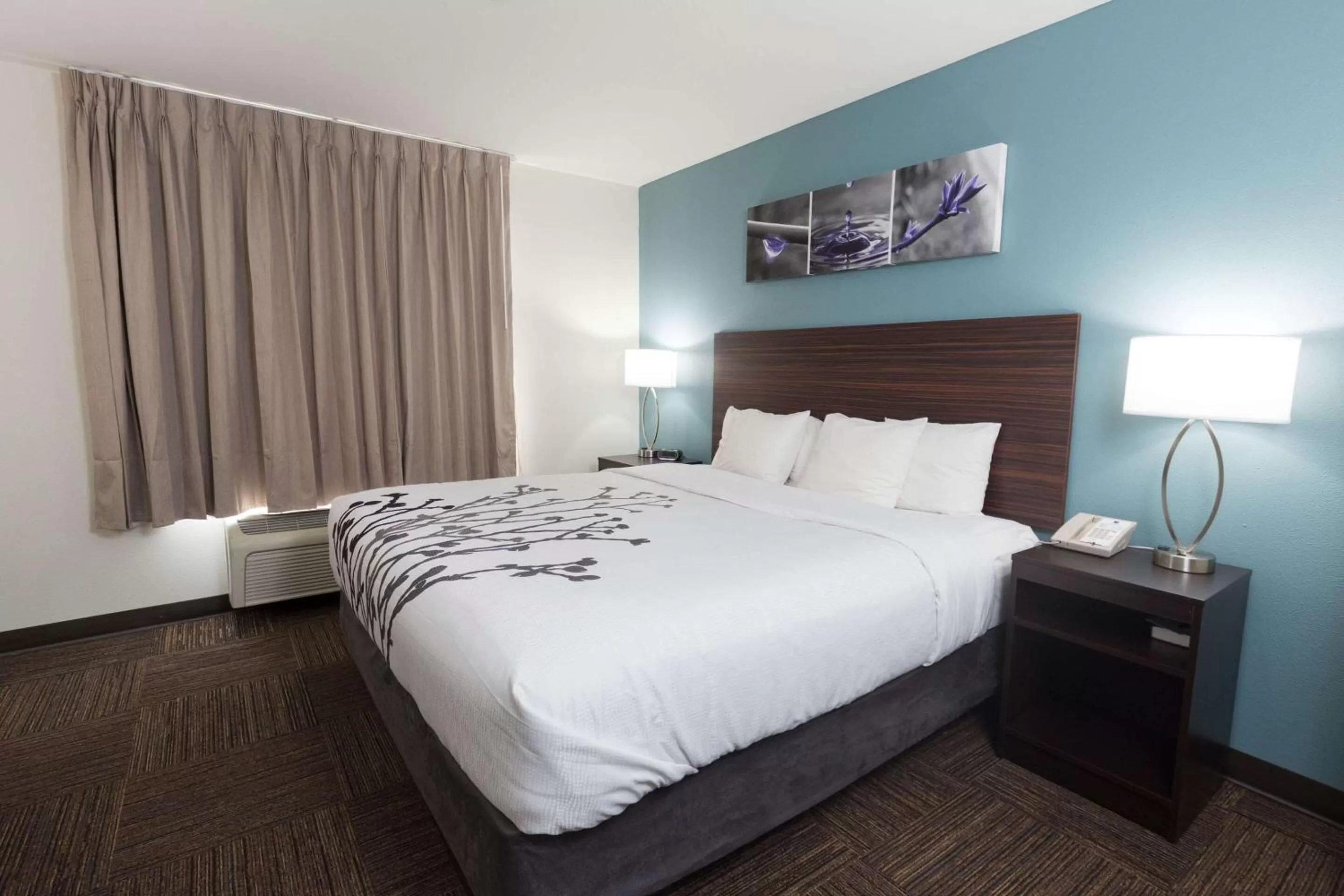 Photo of the whole room, Bed in Sleep Inn & Suites Washington near Peoria