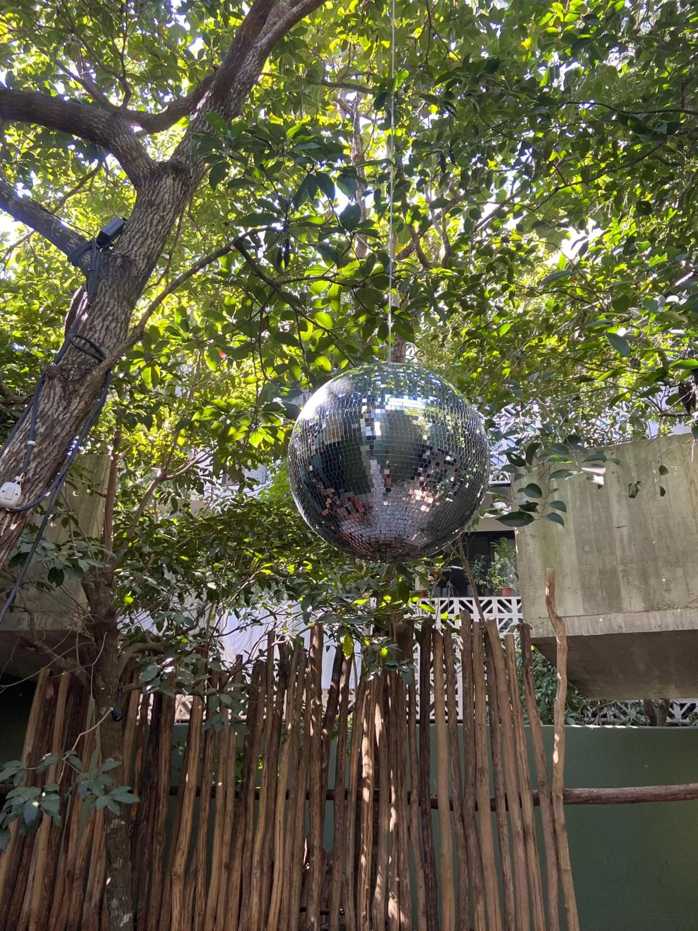 Lounge or bar in Loba Tulum Male Only