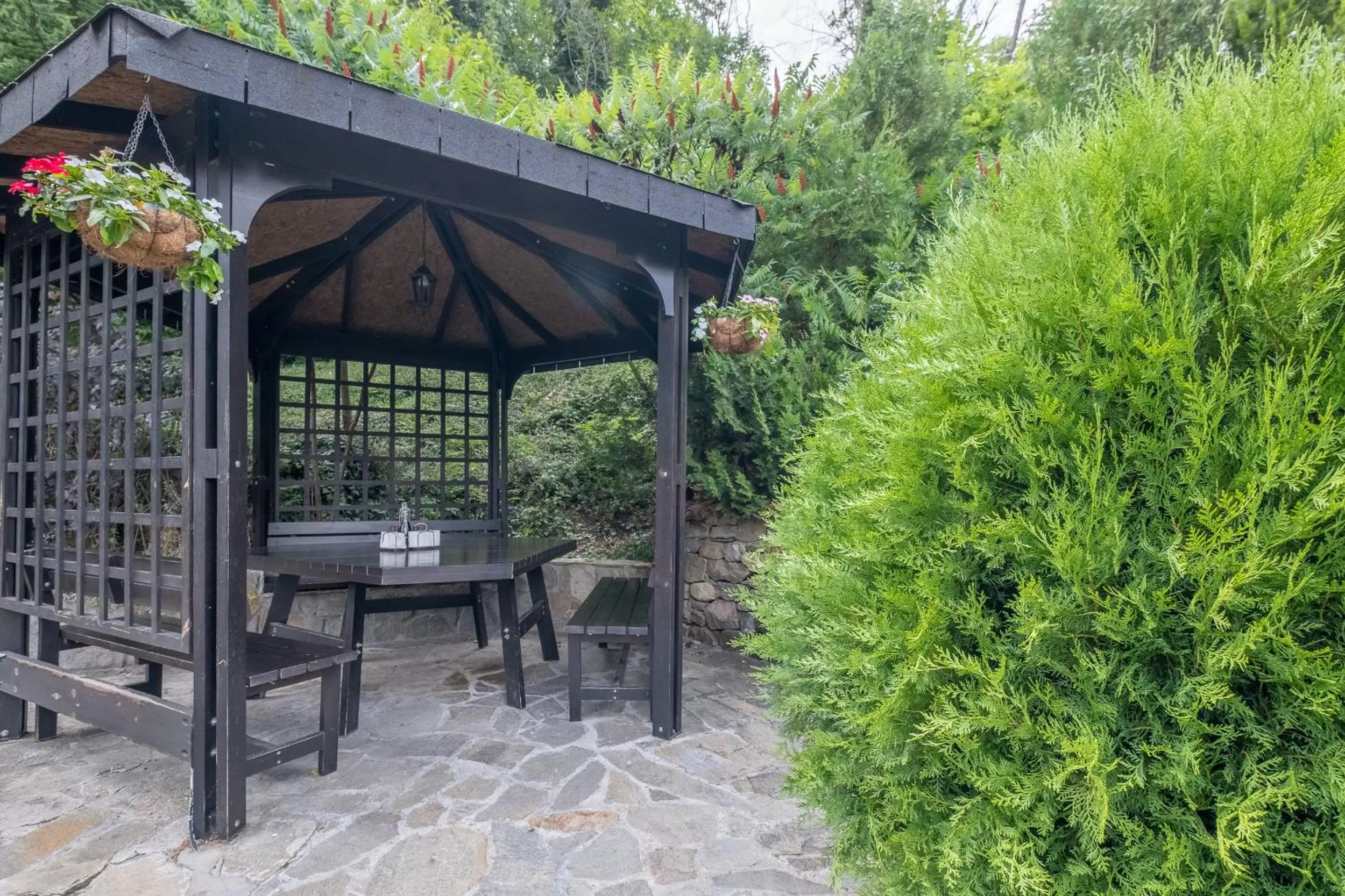 Restaurant/places to eat in Park Hotel Asenevtsi