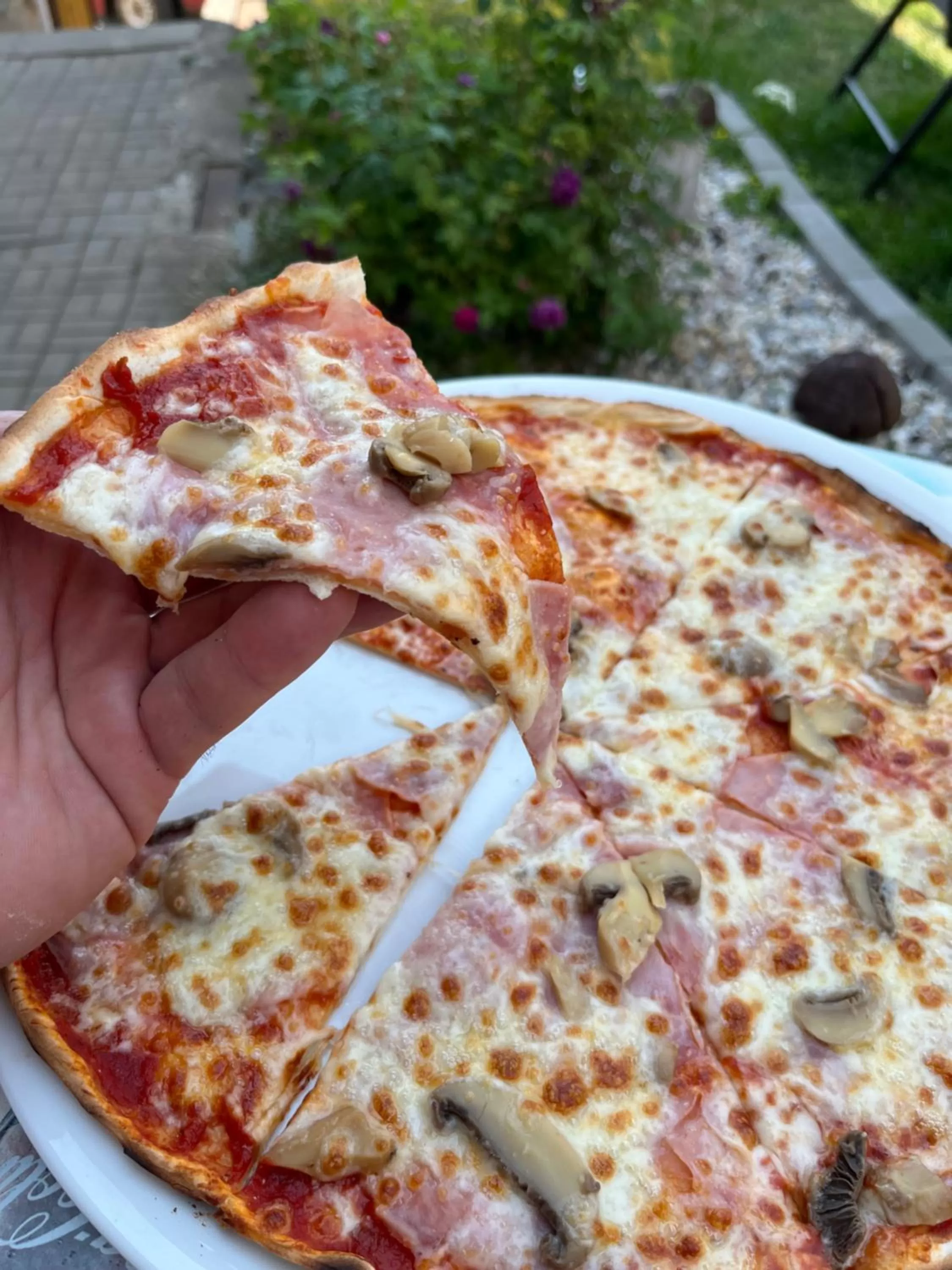 Restaurant/places to eat in H@M Penzion