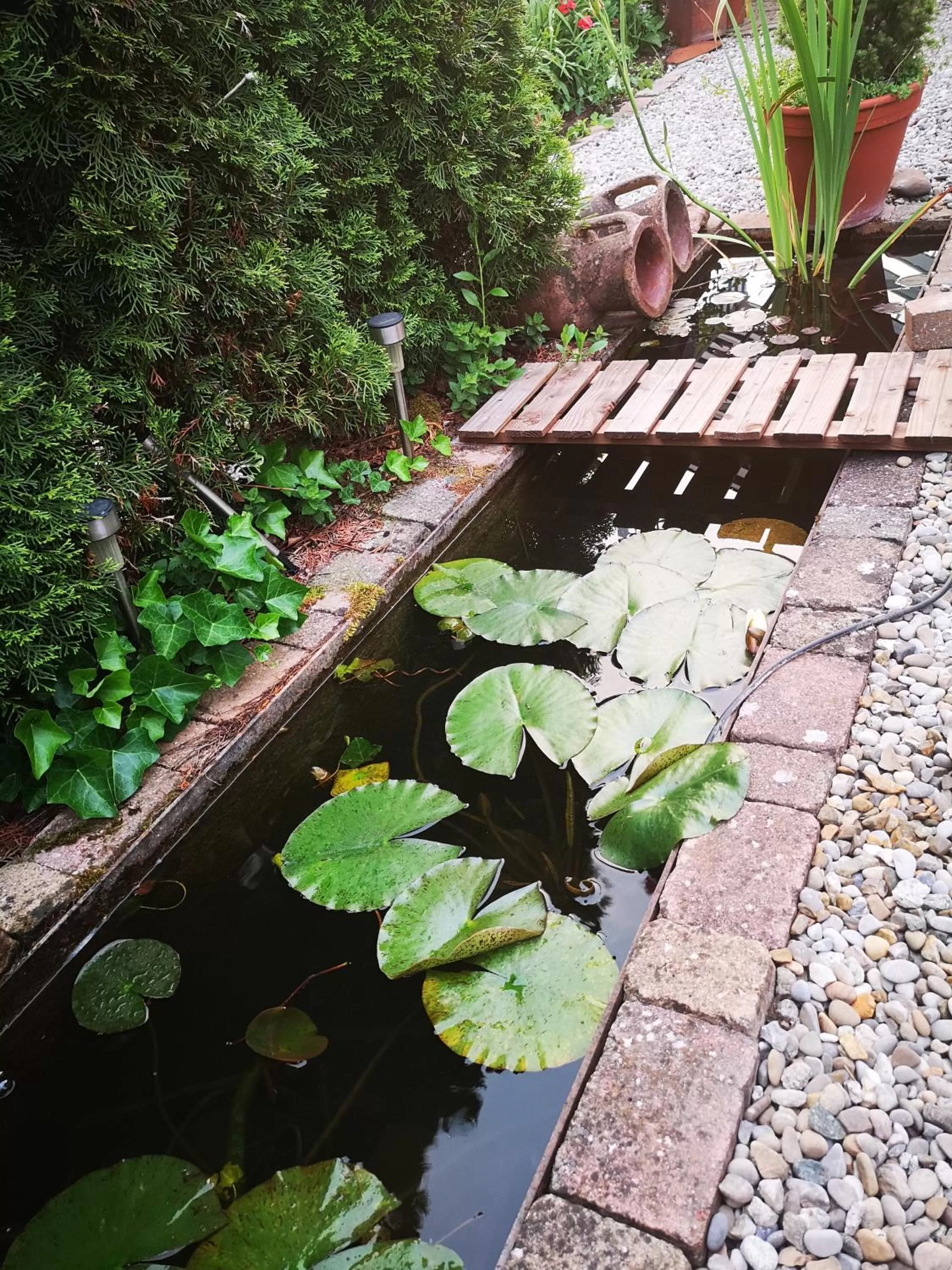 Garden in Bed and Breakfast 24