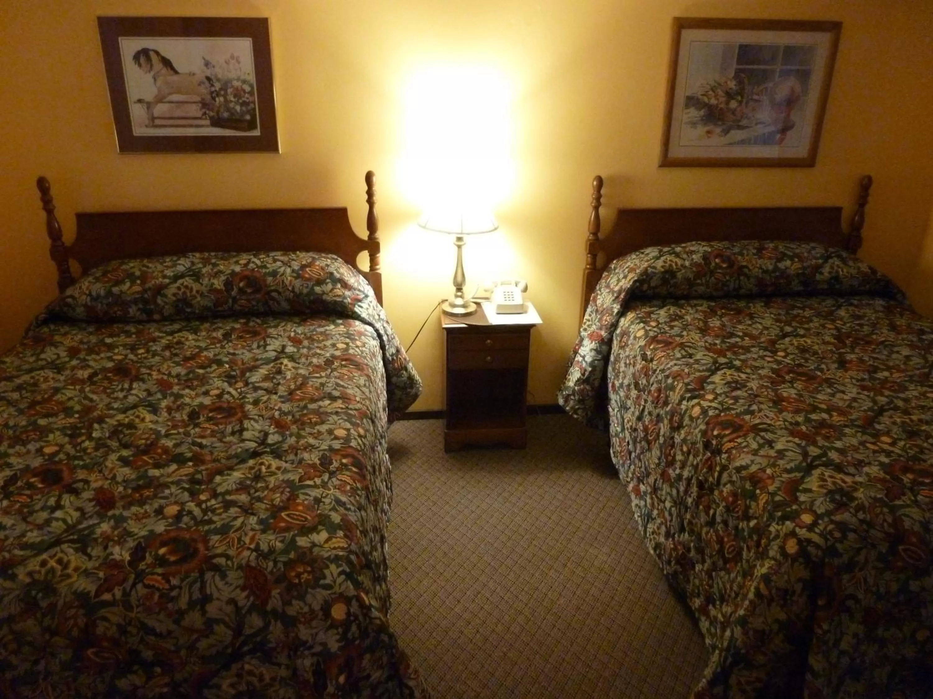 Bed in Viking Motel