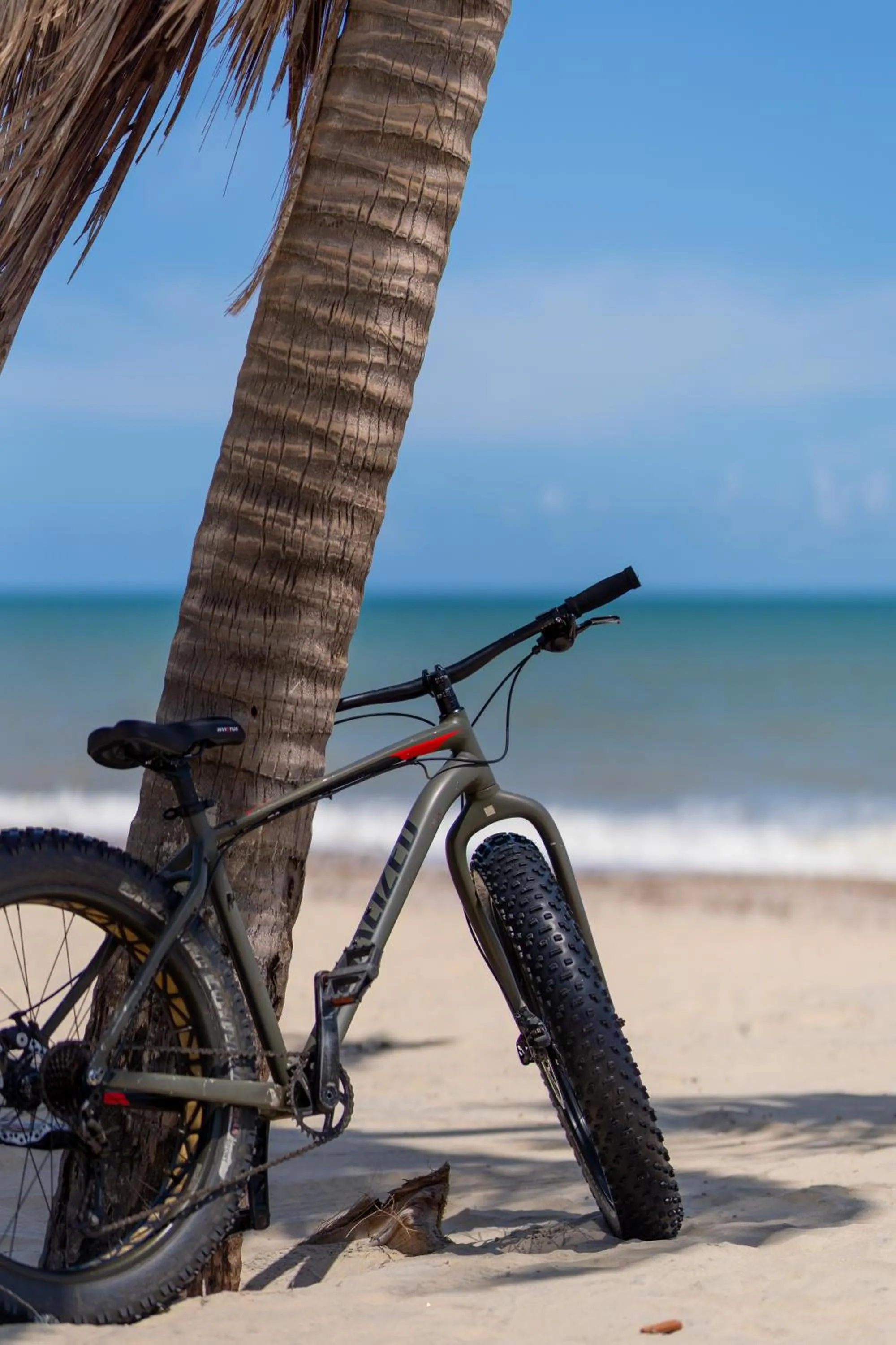 Activities in Carmel Cumbuco Resort