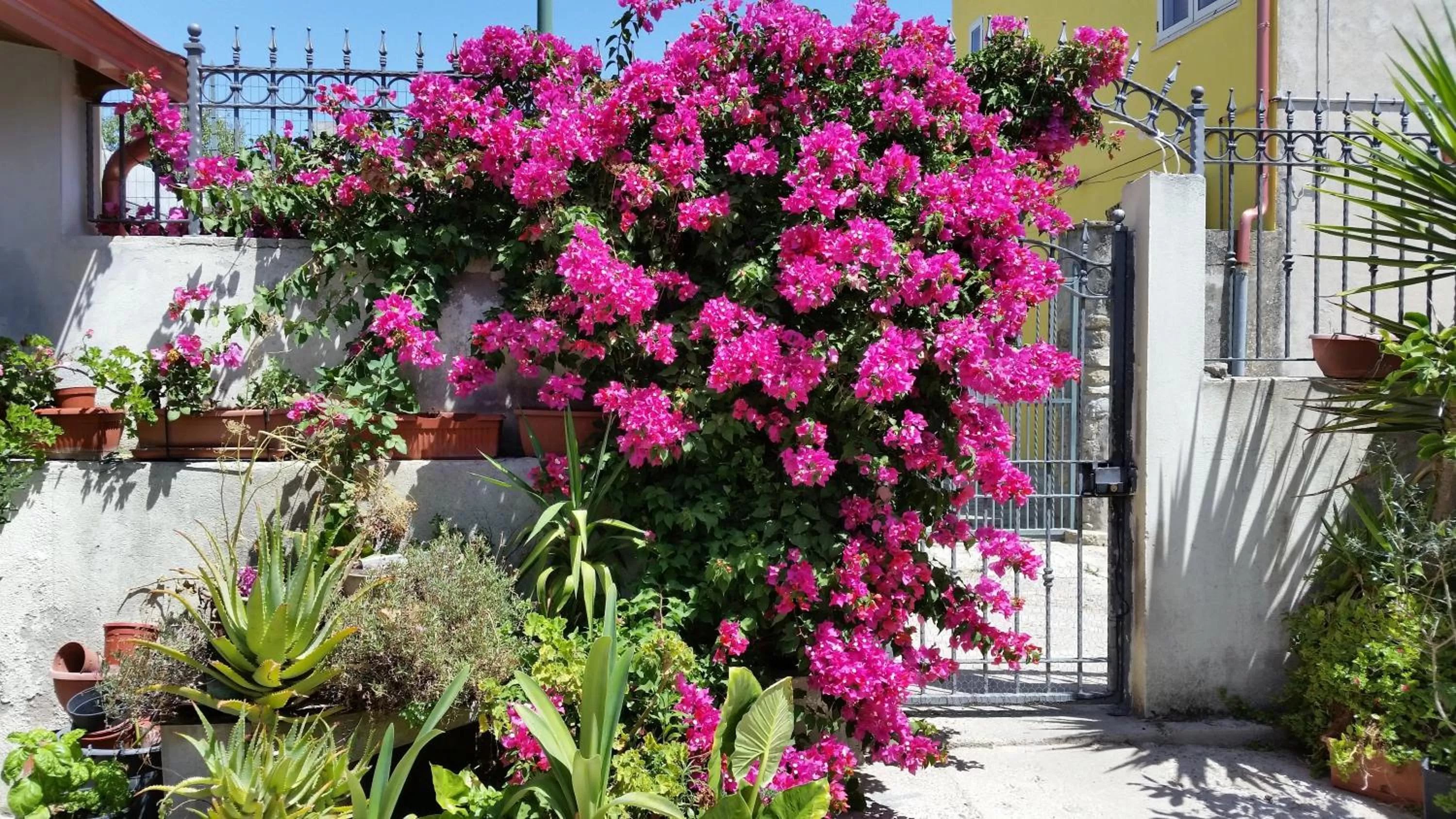 Facade/entrance in B&B Mitzixeddas