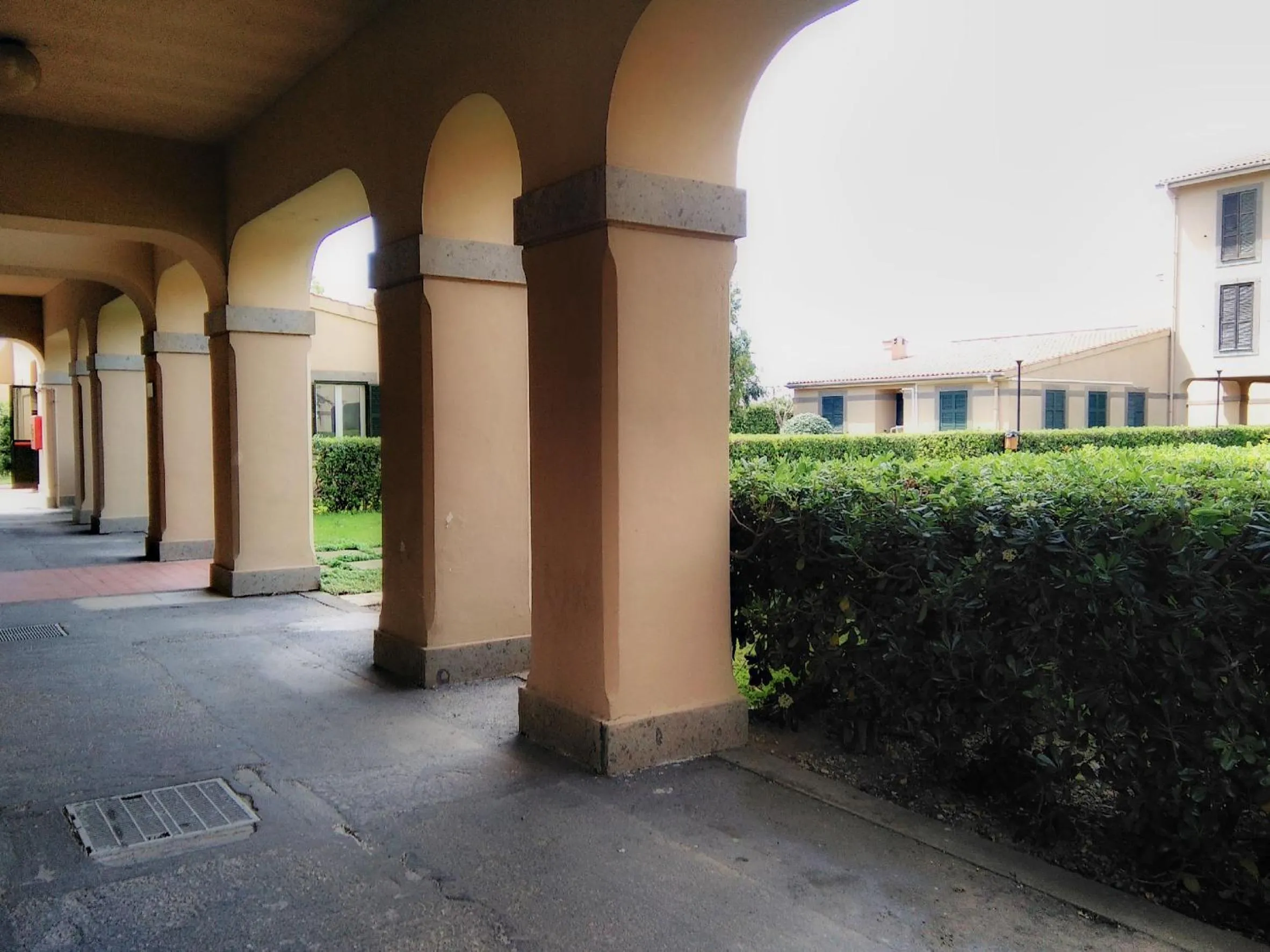 Garden in Hotel Baia Del Sole