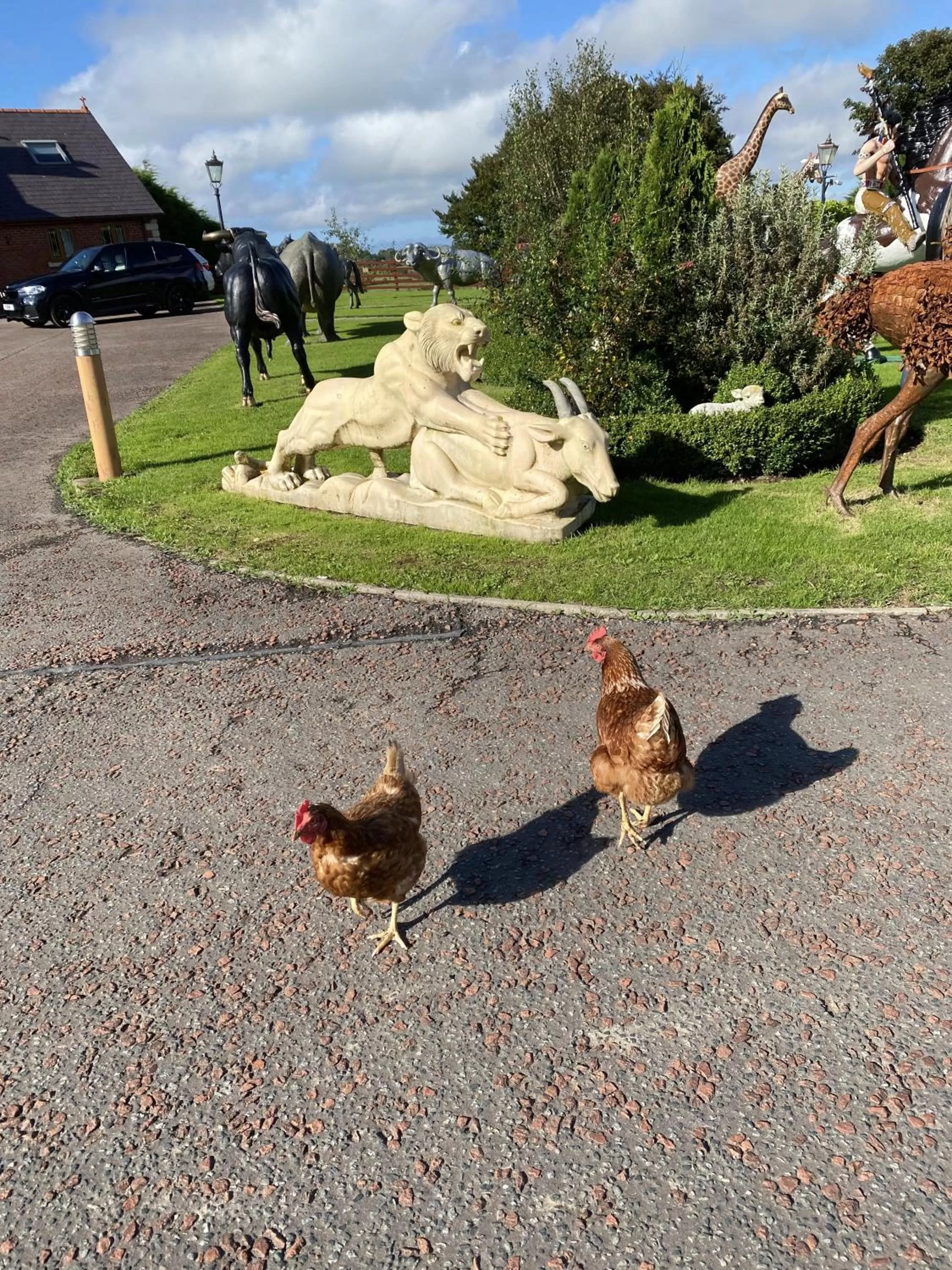 Garden in The Hilltop Haven