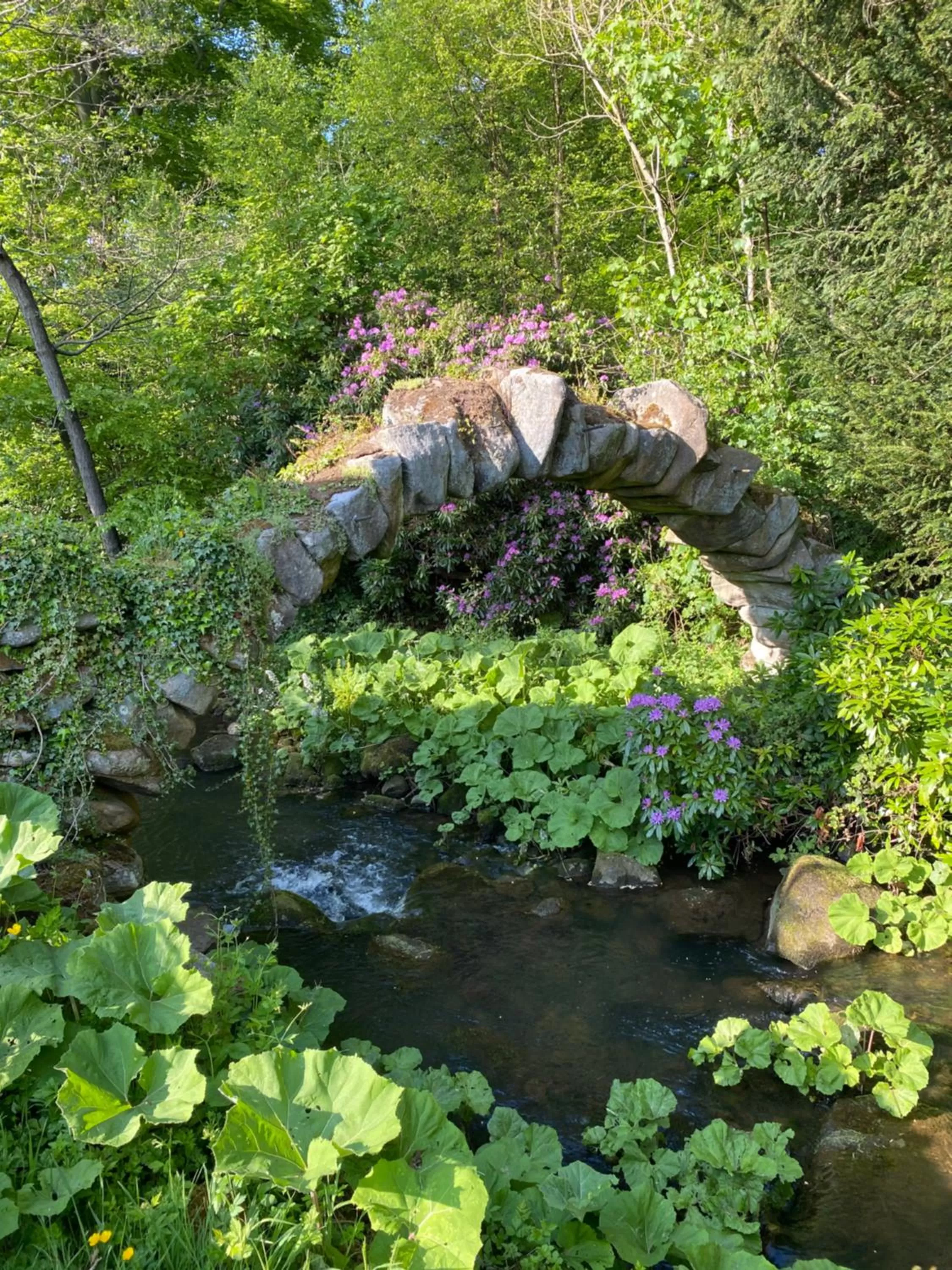 Other Animals in Heathy Lea Bed And Breakfast