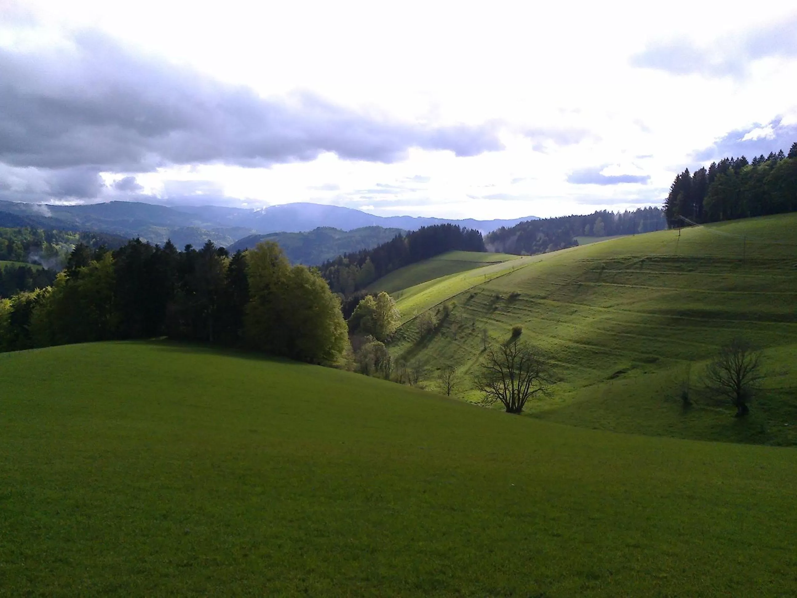 Natural landscape in ZUR TRAUBE Schwarzwaldhotel & Restaurant am Titisee