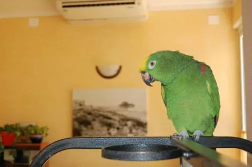 Other in Hotel Irene