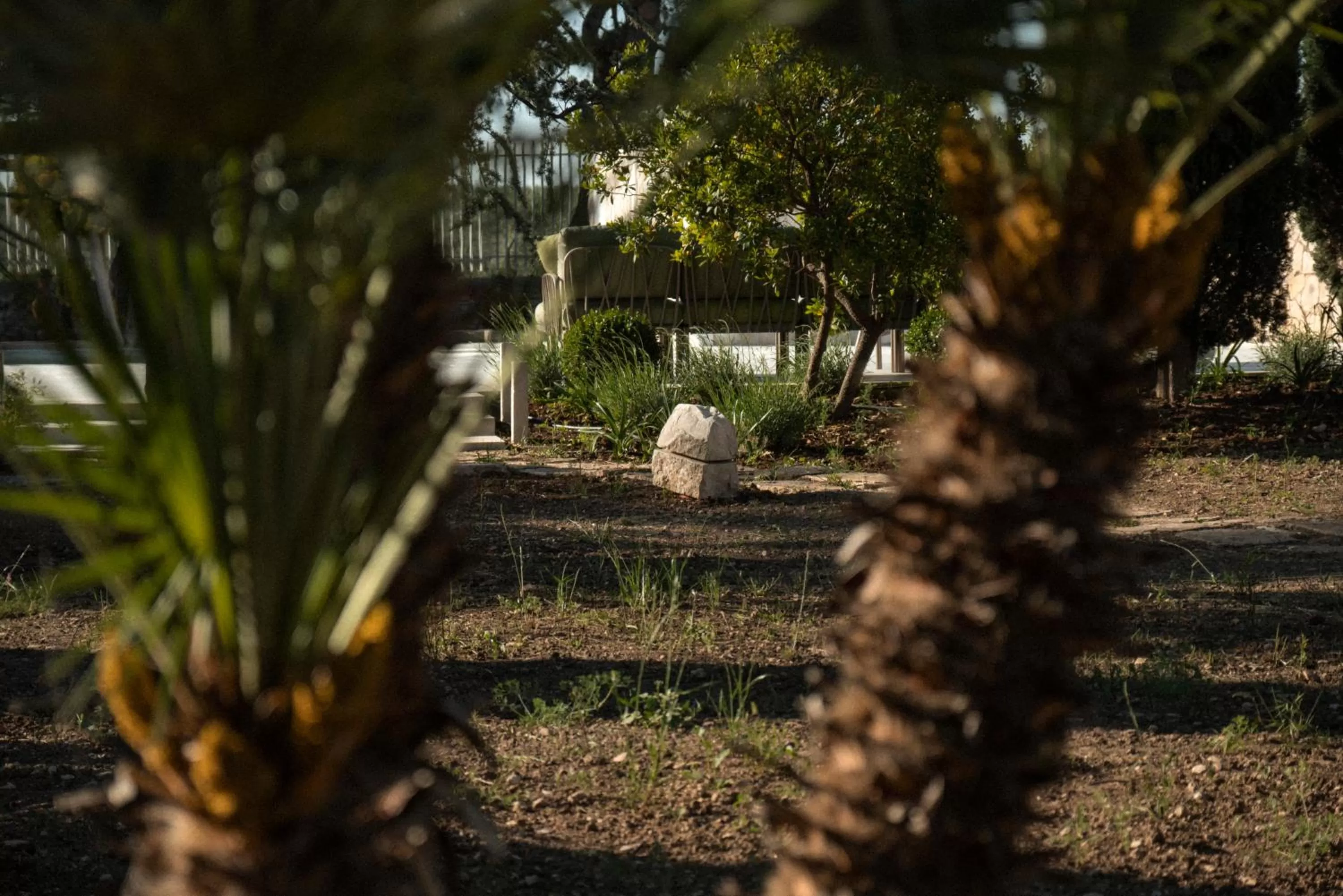 Garden in Otto Apulia House
