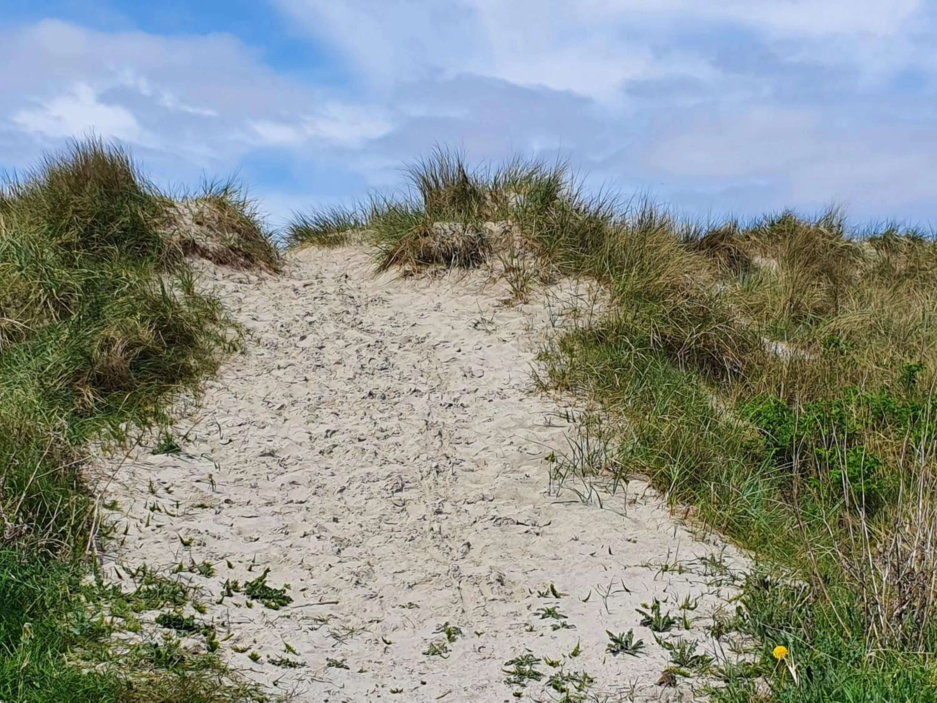 Beach in Hotel Pension Am Hafen