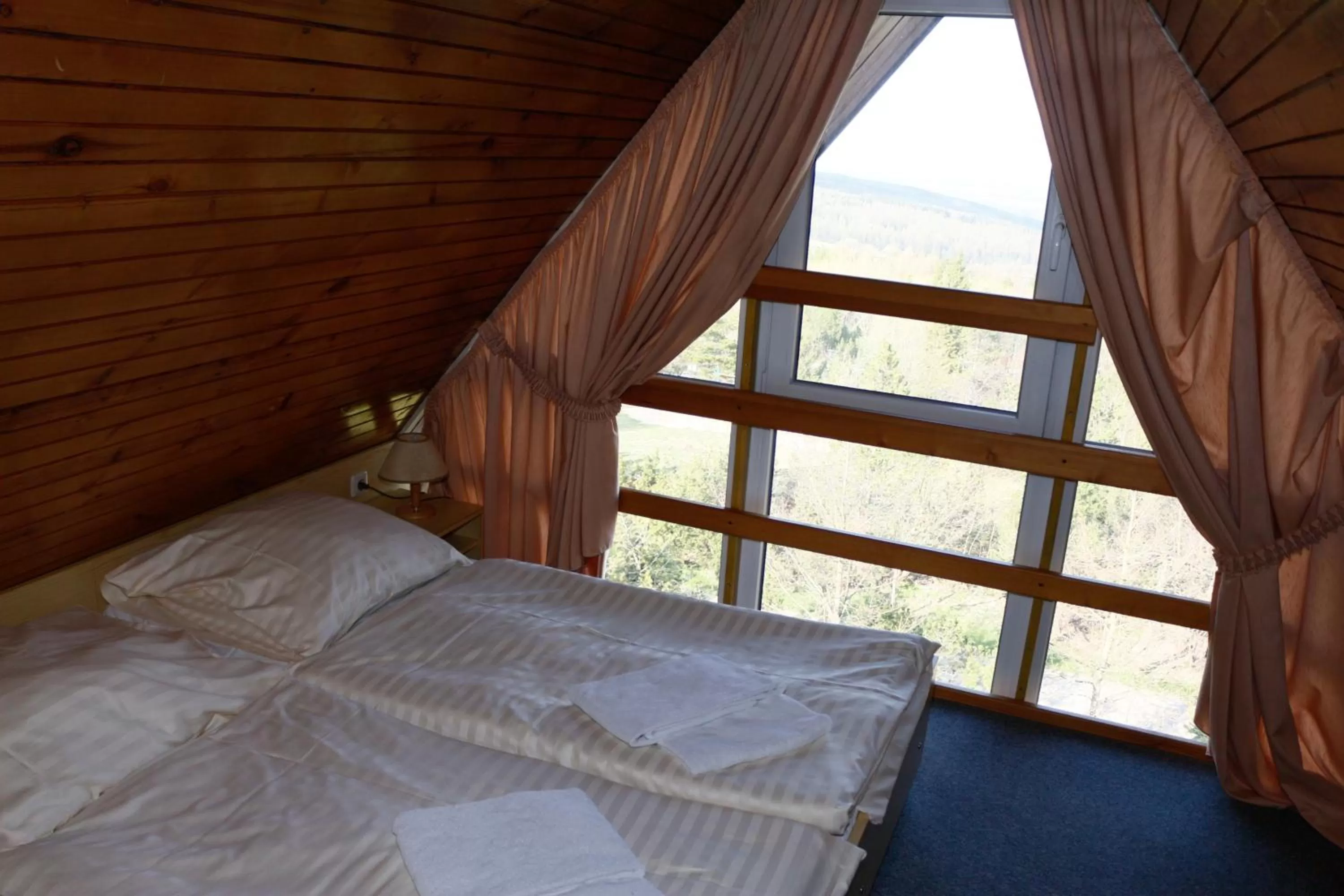 bunk bed, Bed in Hotel Lugsteinhof