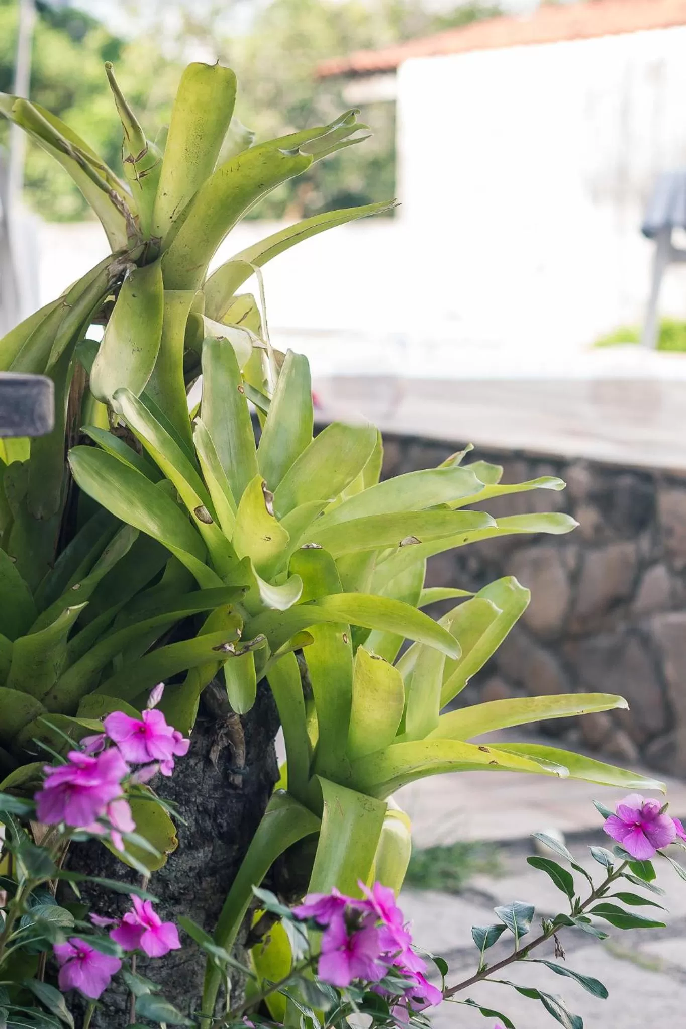 Pousada Solar Tropical