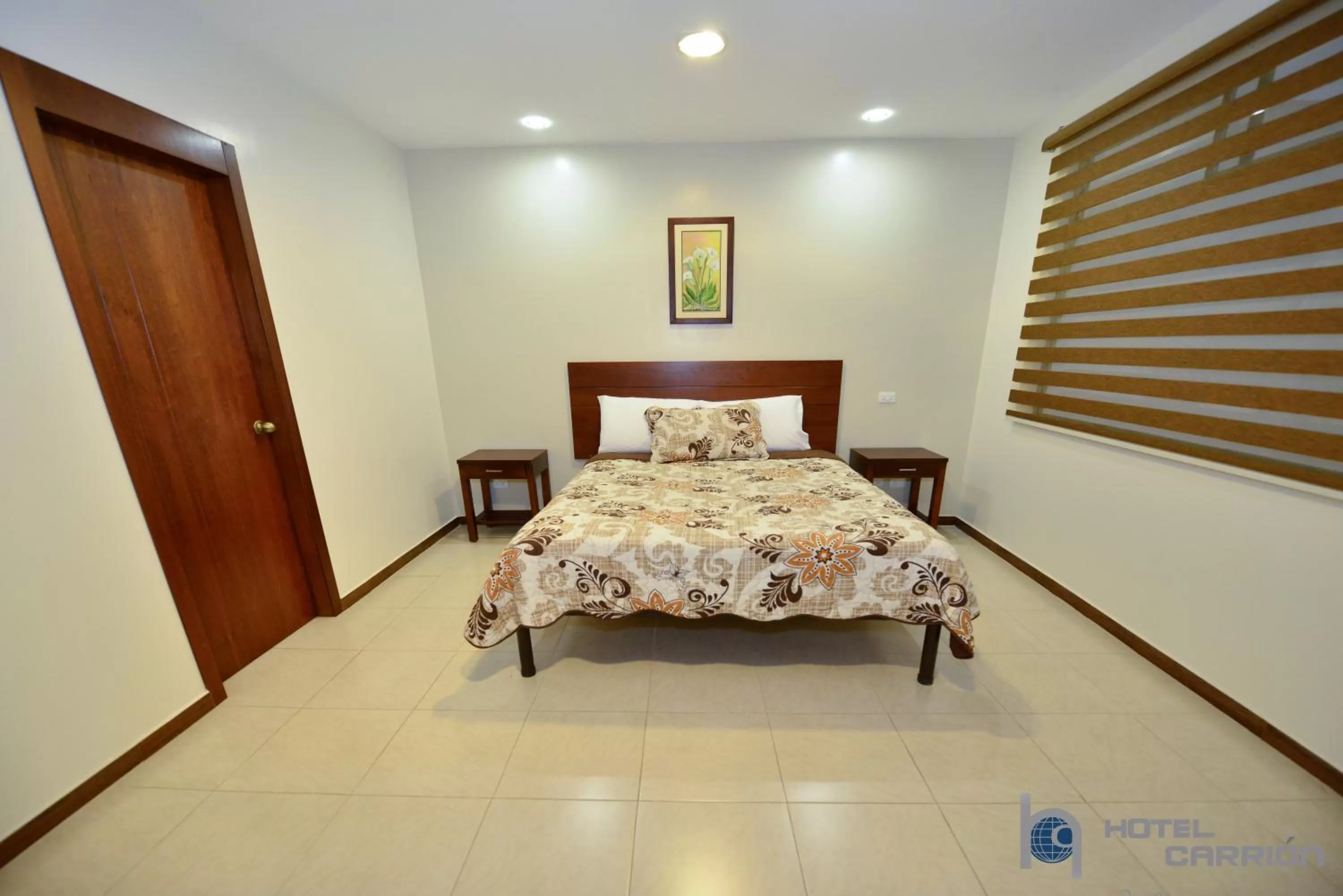 Double Room with Private Bathroom - single occupancy in Hotel Carrion