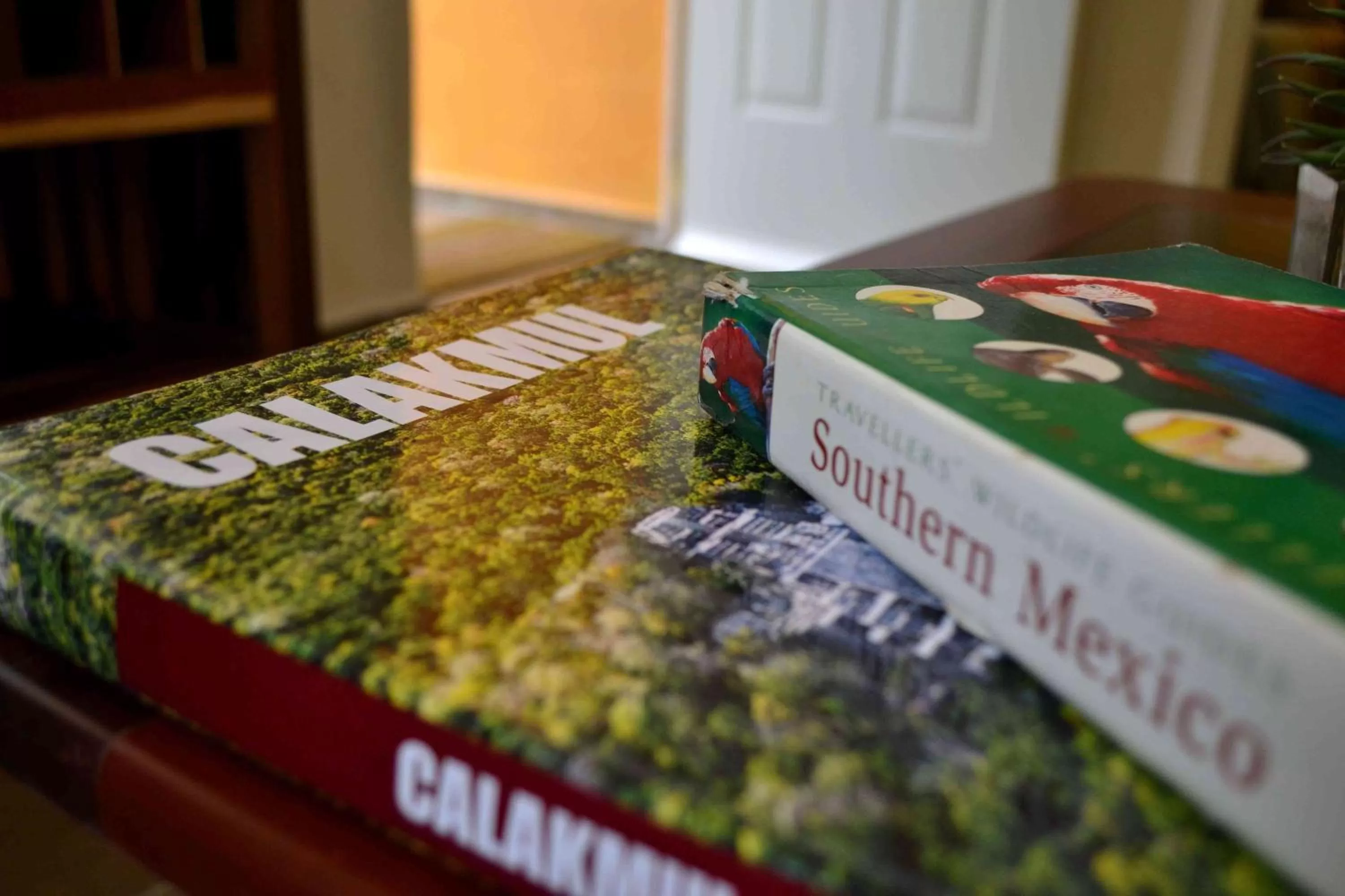 Decorative detail in Casa Kaan Calakmul