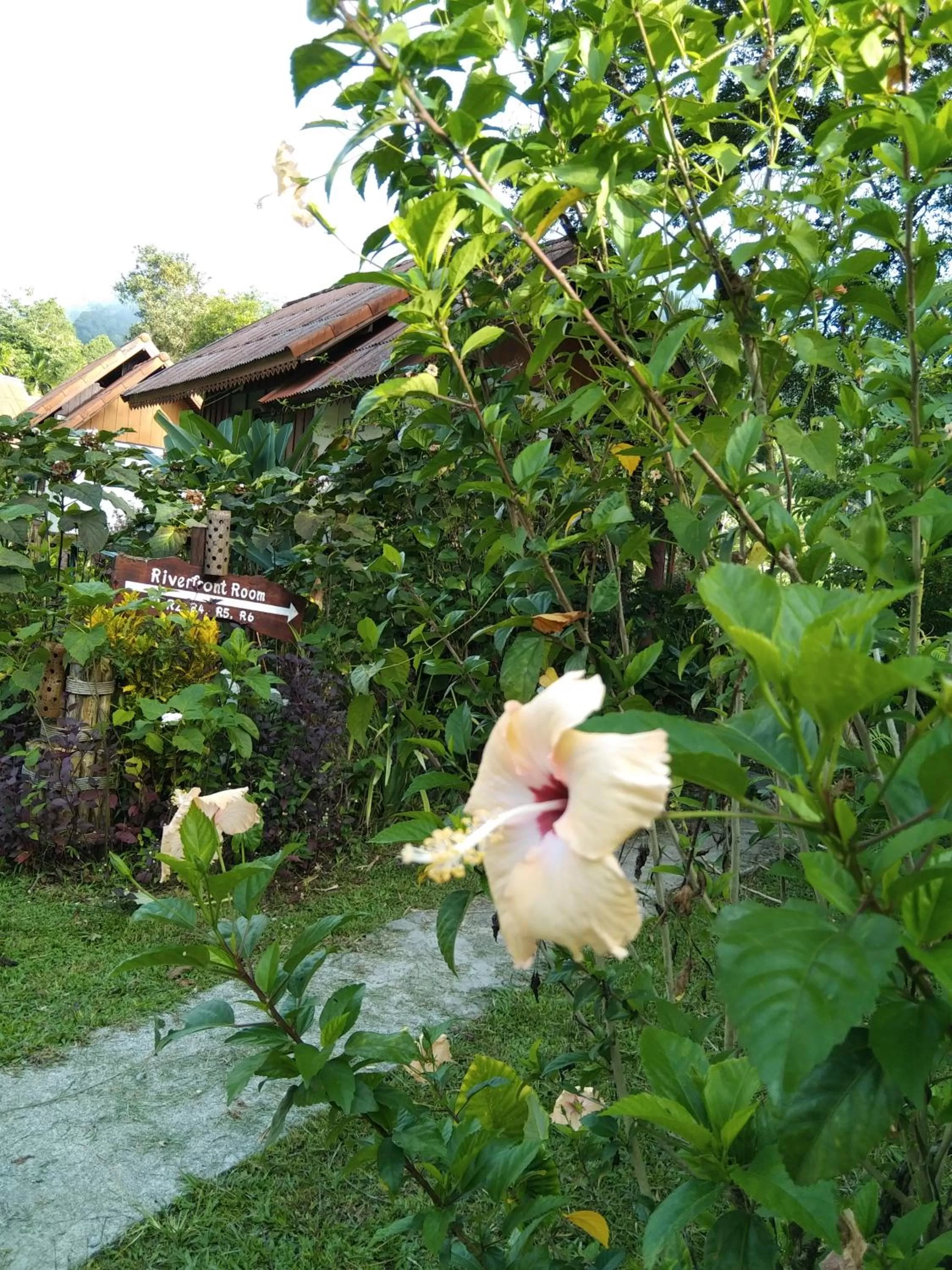 Garden in Khao Sok River & Jungle Resort