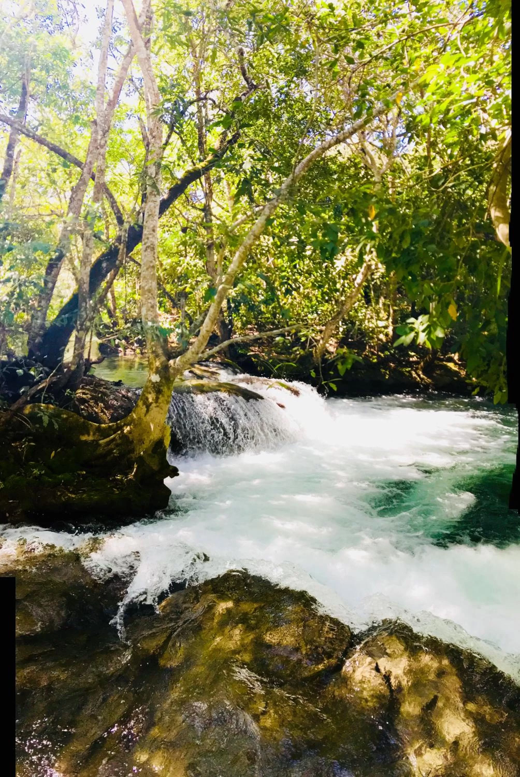Diving in Hotel Santa Esmeralda