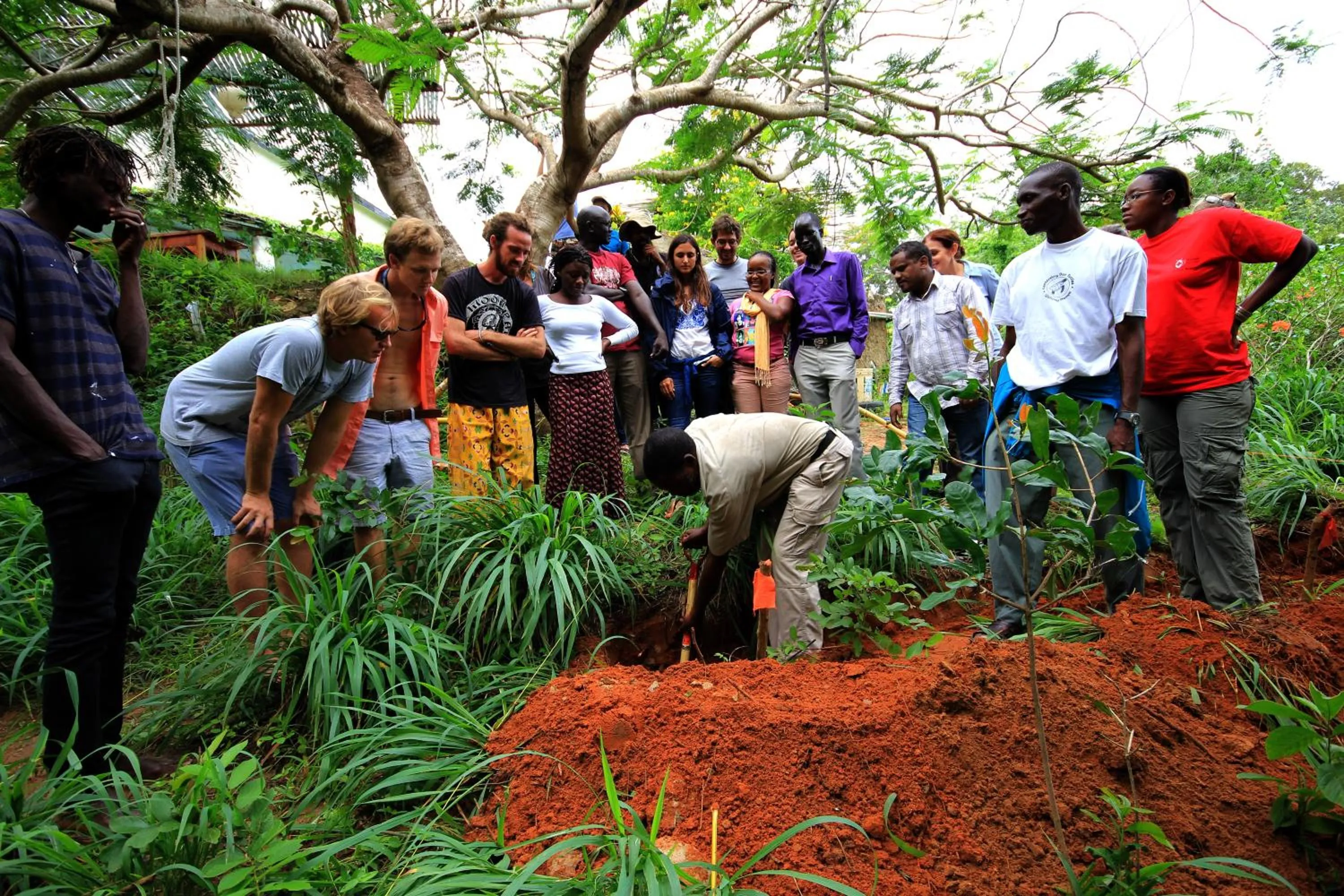 Garden in Distant Relatives Ecolodge & Backpackers