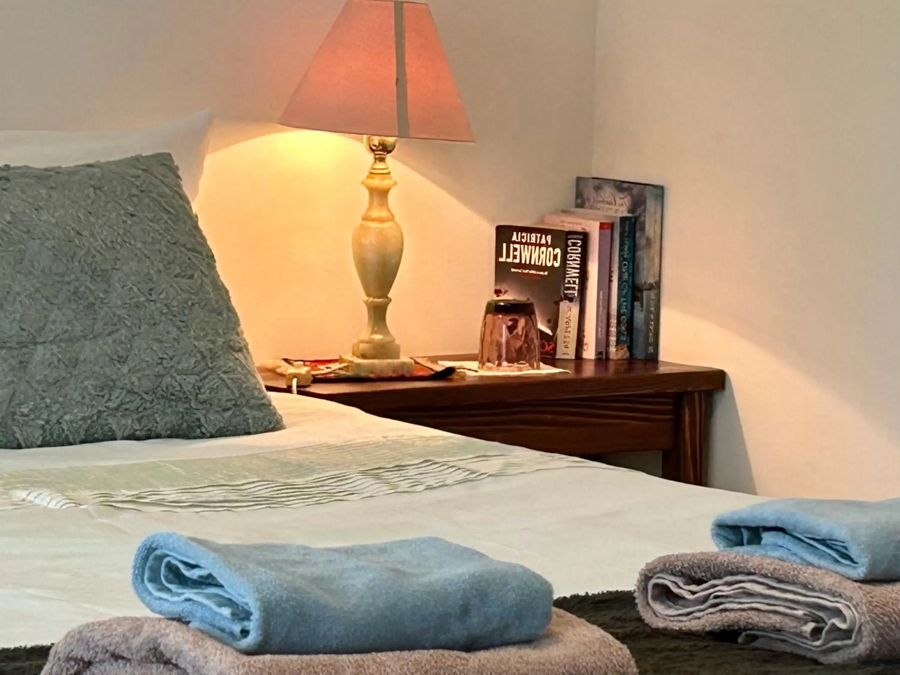 Twin Room - single occupancy in Vila Vanda Vukovar Twin Room - single occupancy in Vila Vanda Vukovar