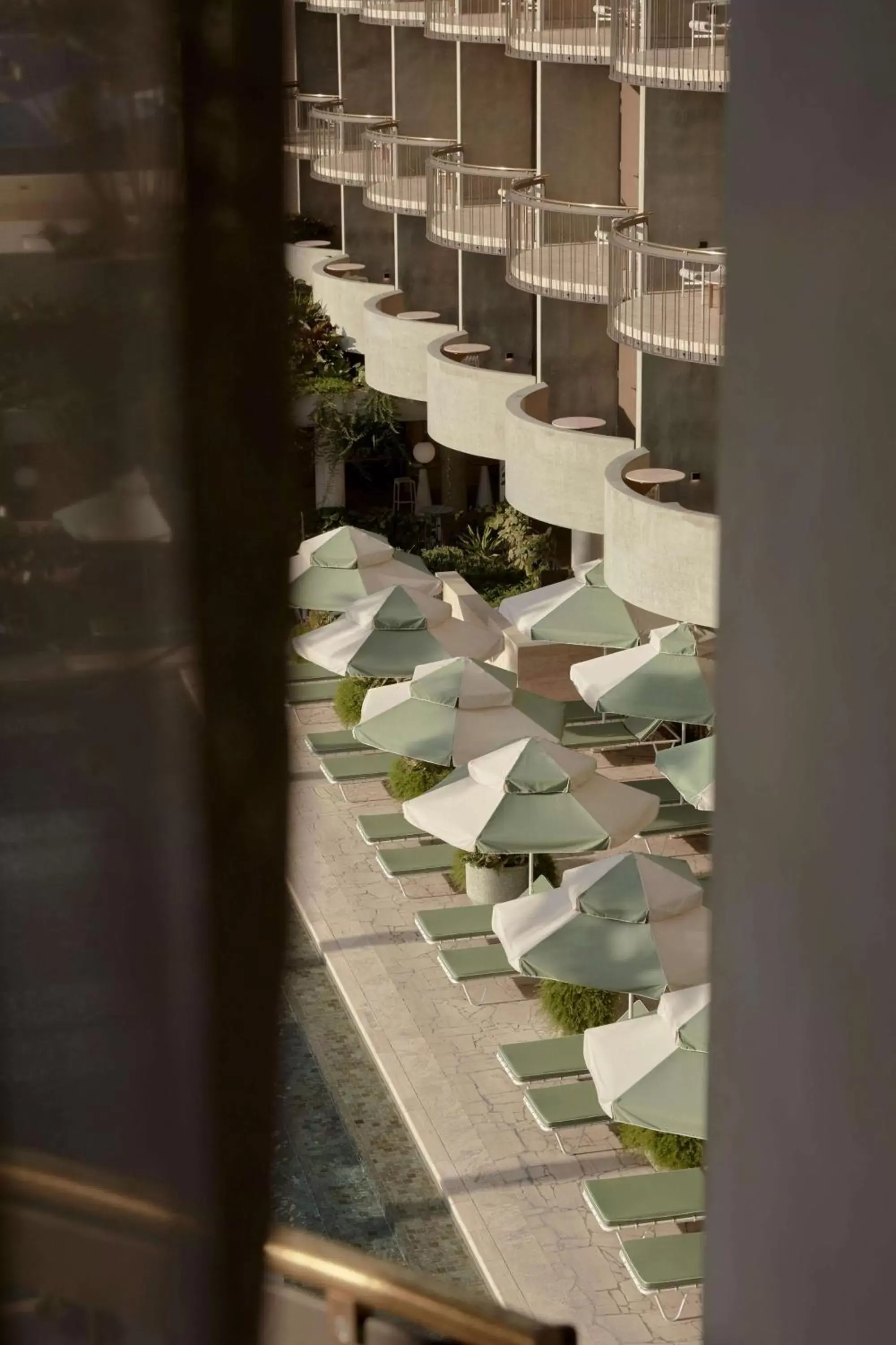 King Room - Poolside in The Calile Hotel King Room - Poolside in The Calile Hotel