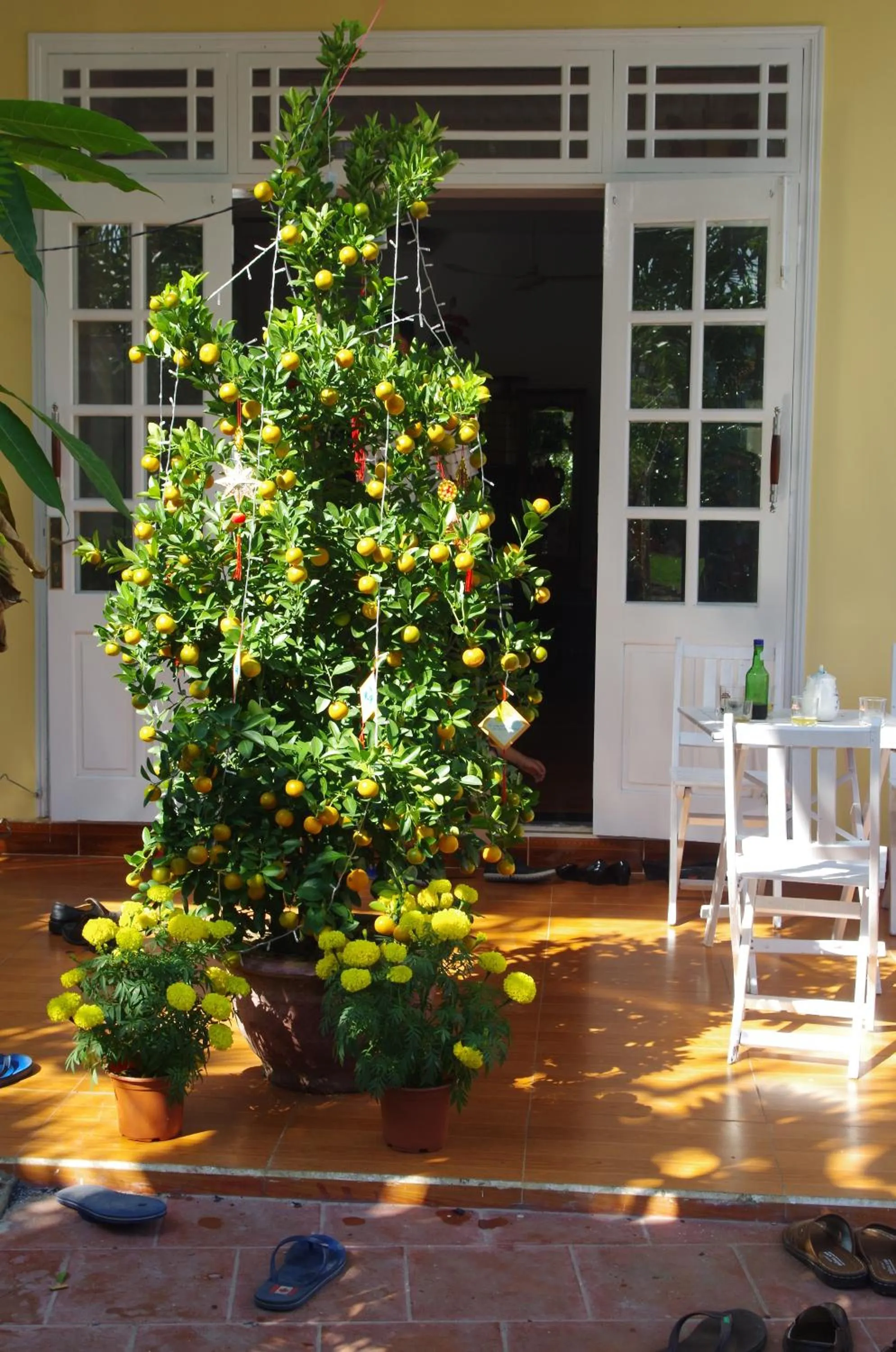 Mango Garden Hoi An Homestay