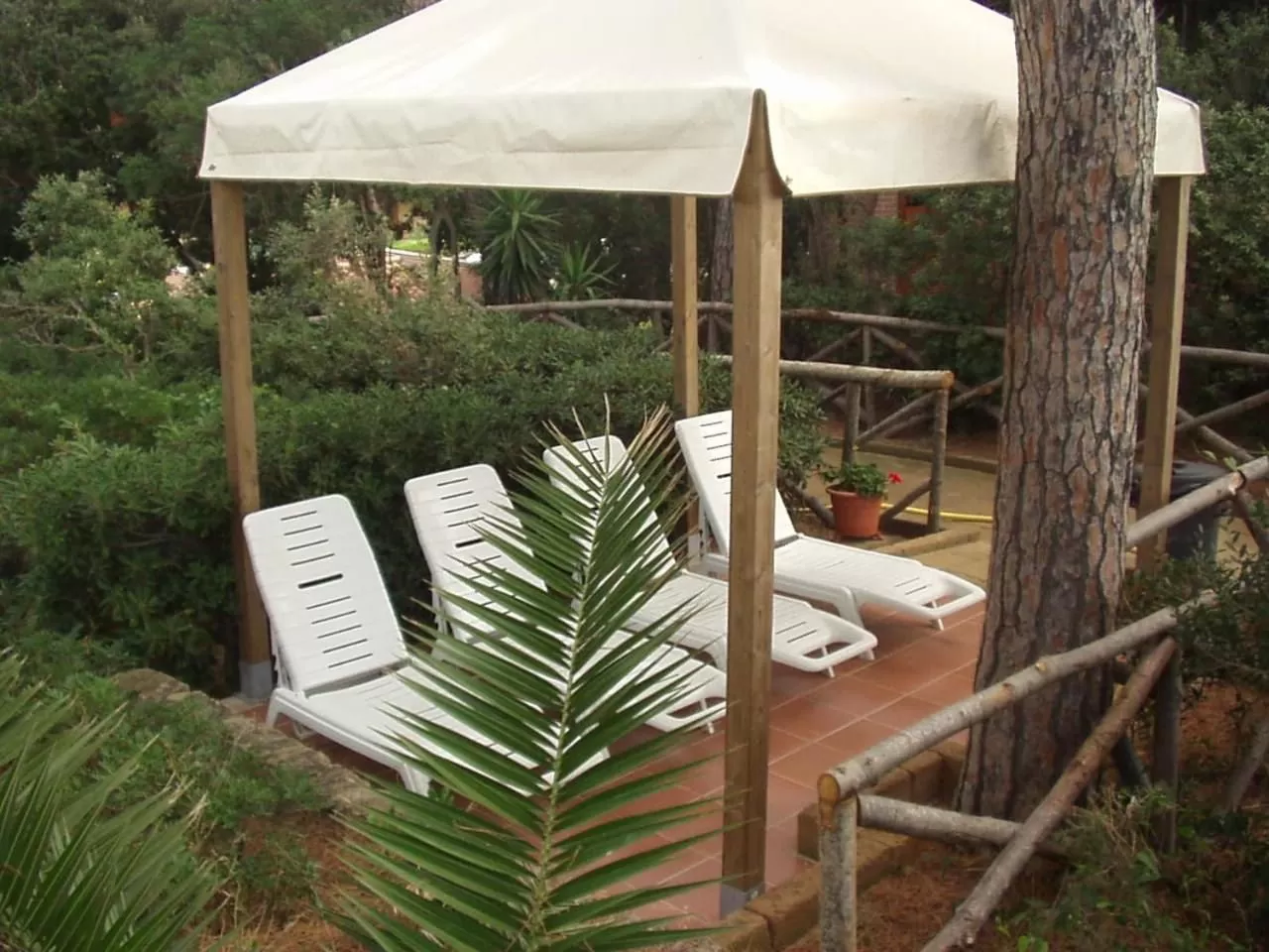 Garden in Hotel Giardino