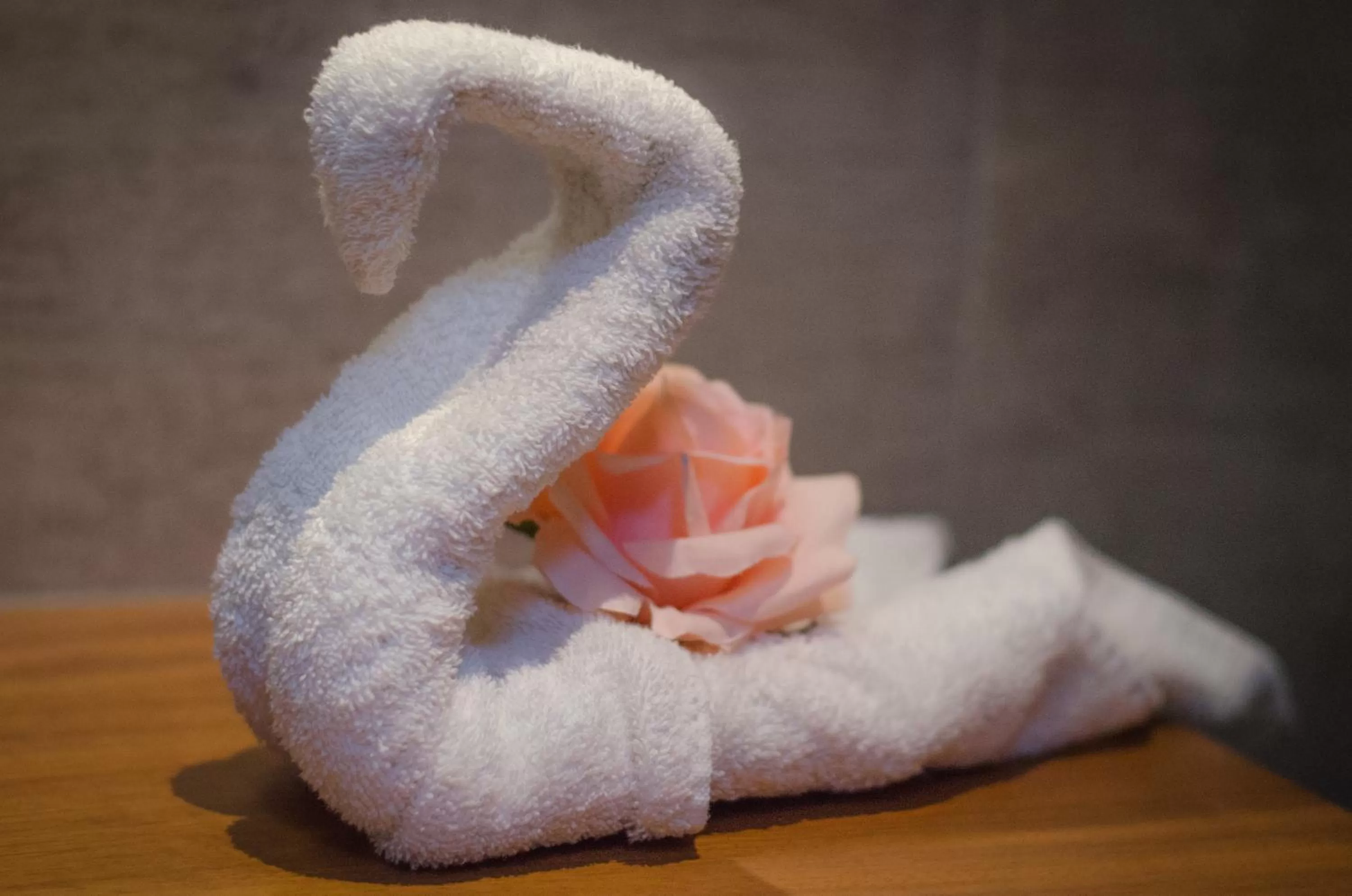 Bathroom in The White Queen B&B