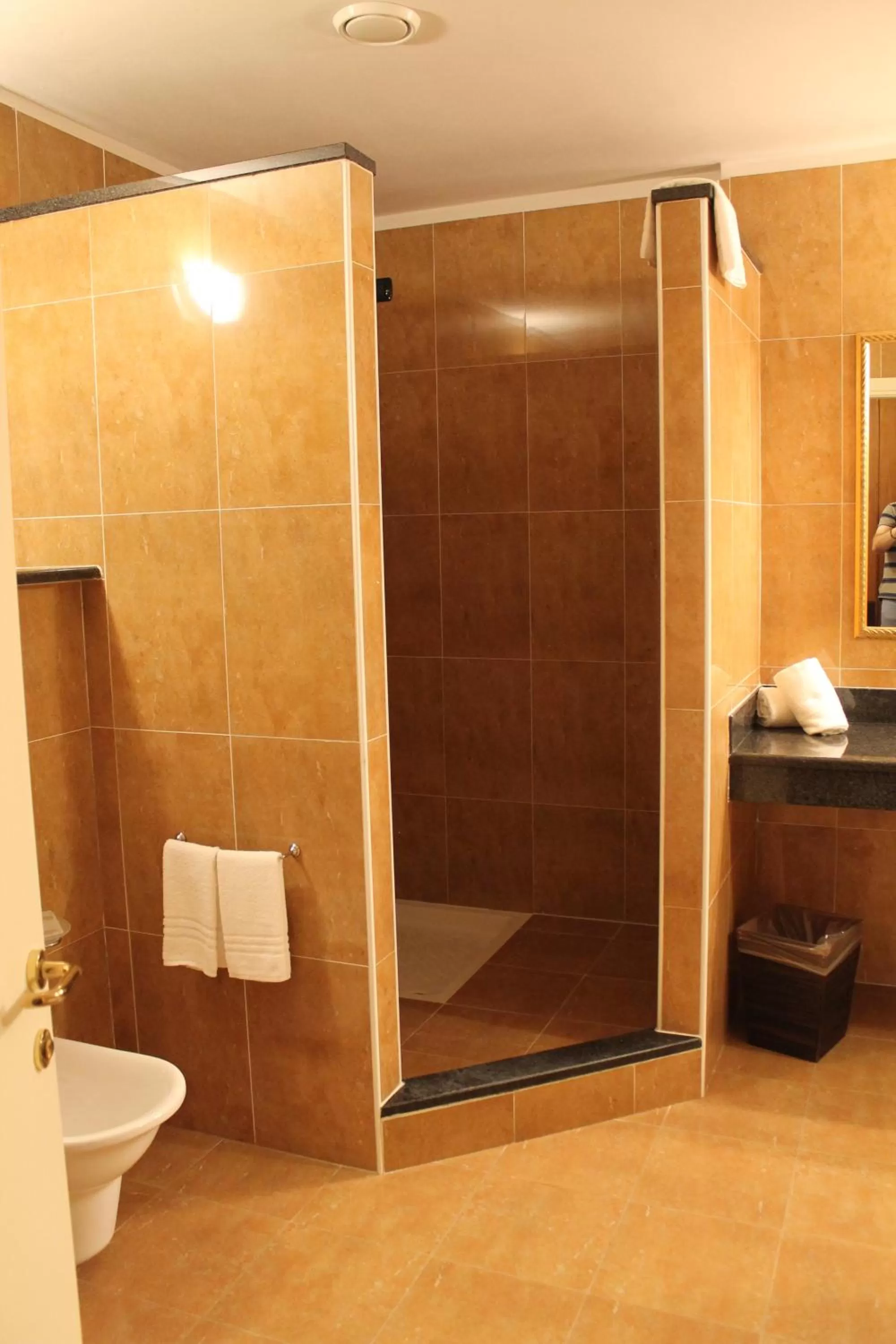 Bathroom in Hotel Don Carlo