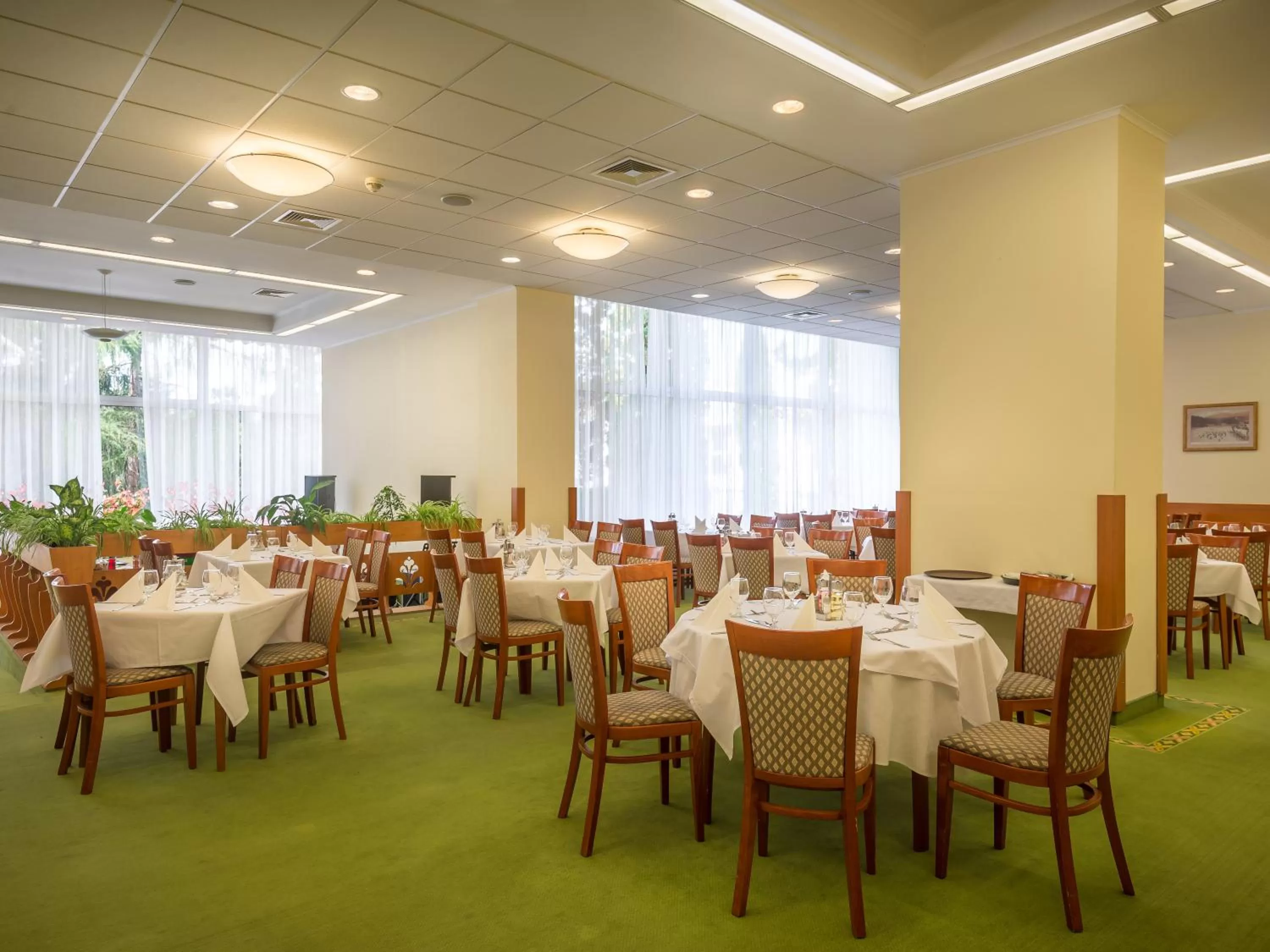 Restaurant/places to eat in Ensana Sovata