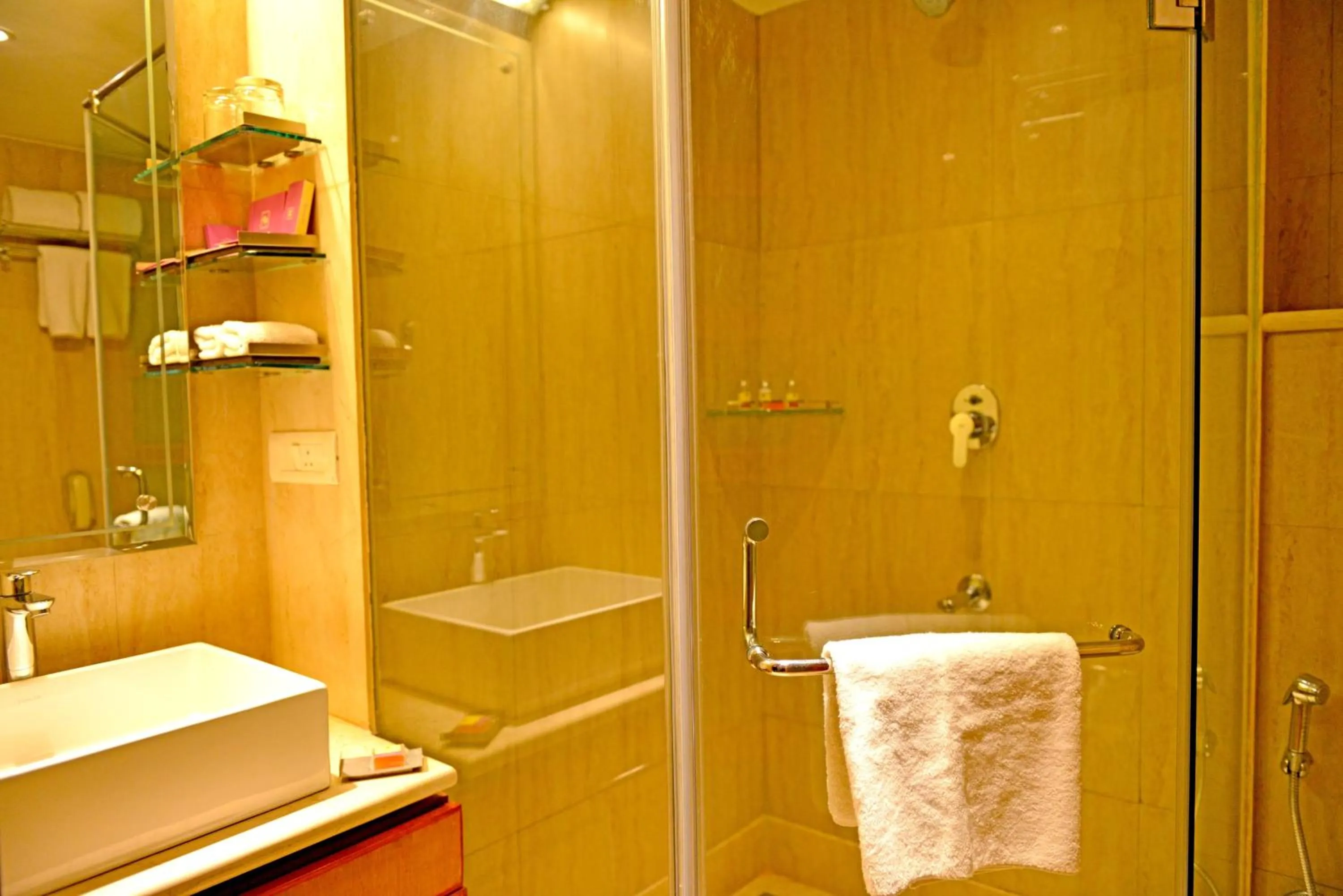 Bathroom in The Theme, Jaipur