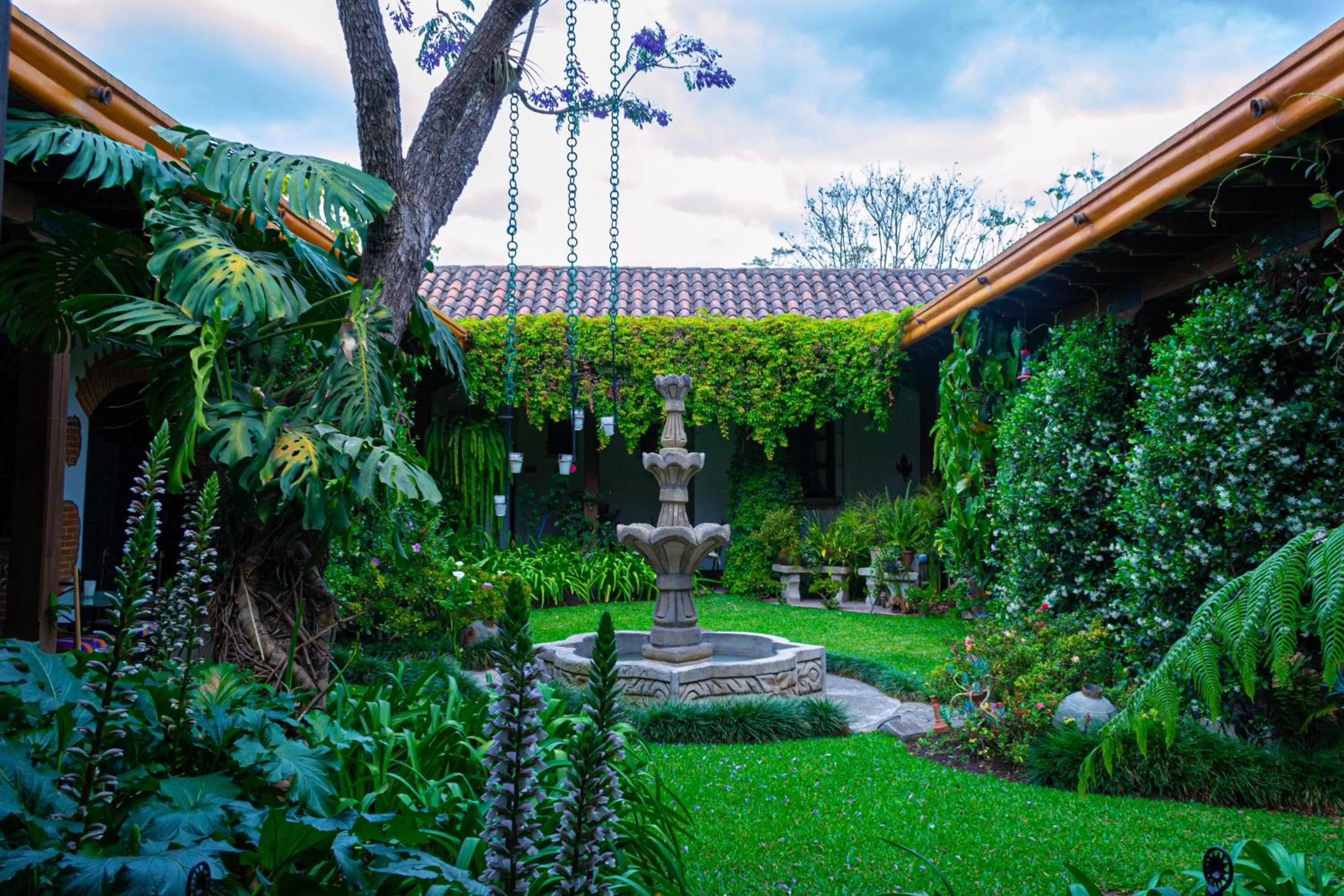 Garden in Hotel Las Marias