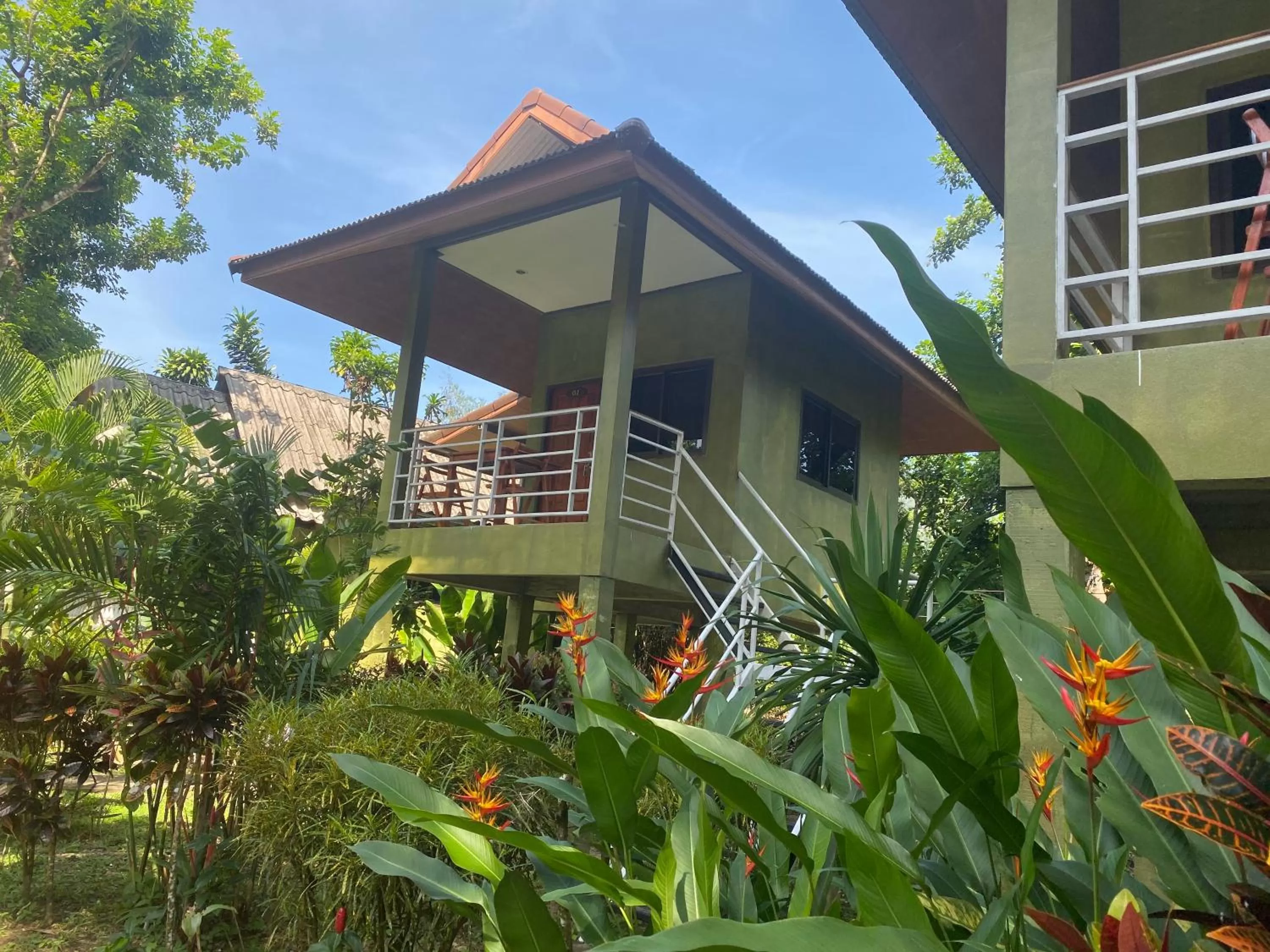 Garden in Khao Sok Jungle Huts Resort