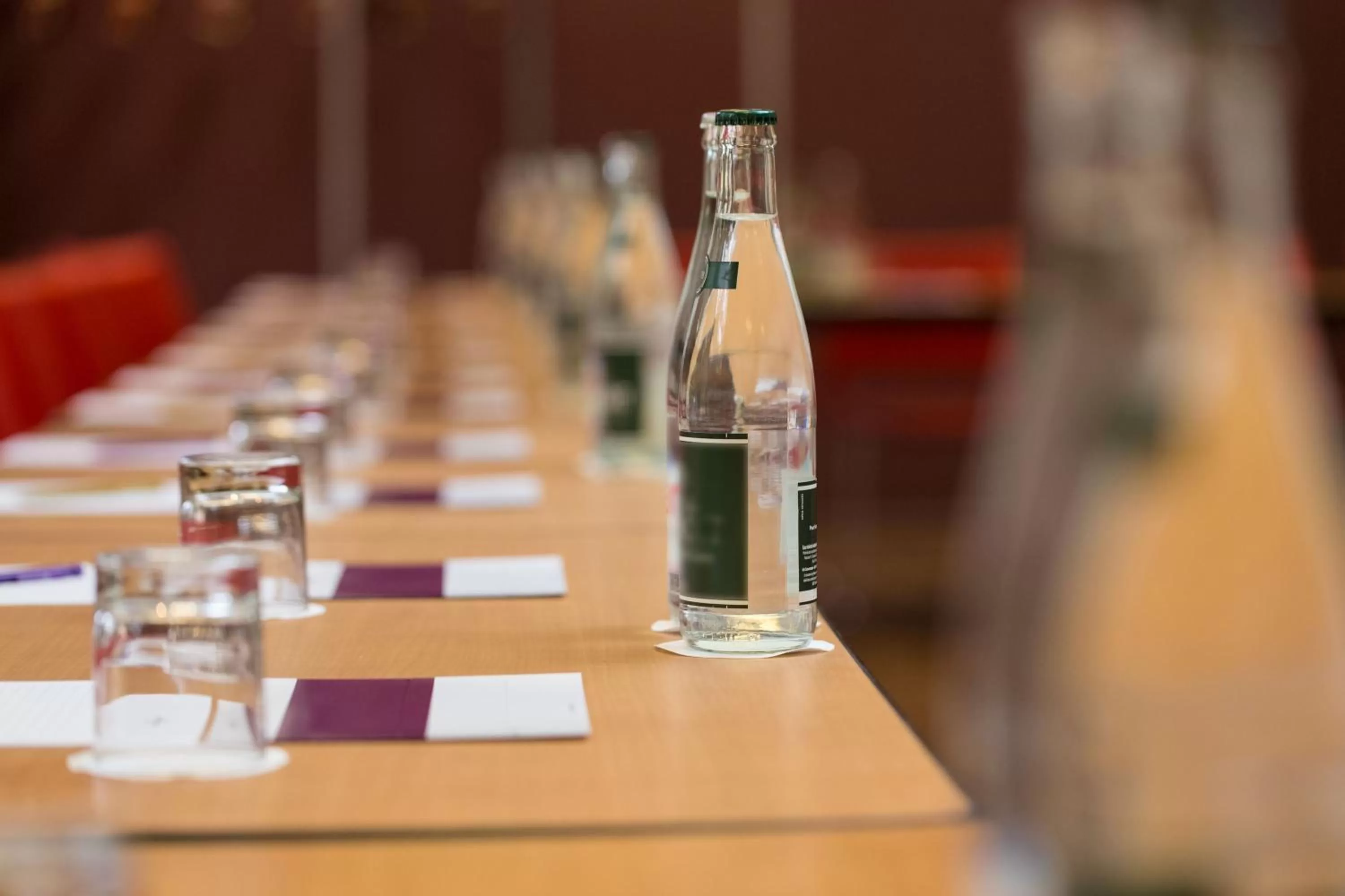 Banquet/Function facilities in Mercure Strasbourg Aéroport